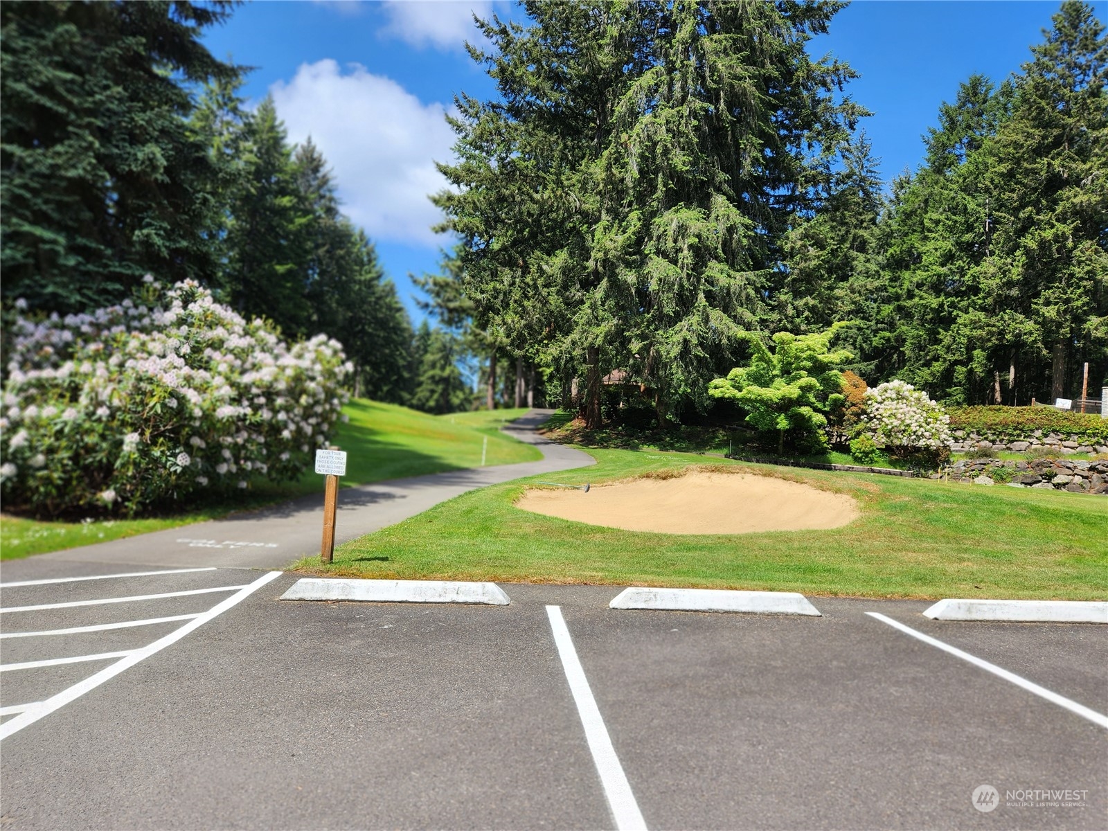 12506 Yoman Road Anderson Island, WA 98303 - Photo 10 of 11 a view of backyard with green space