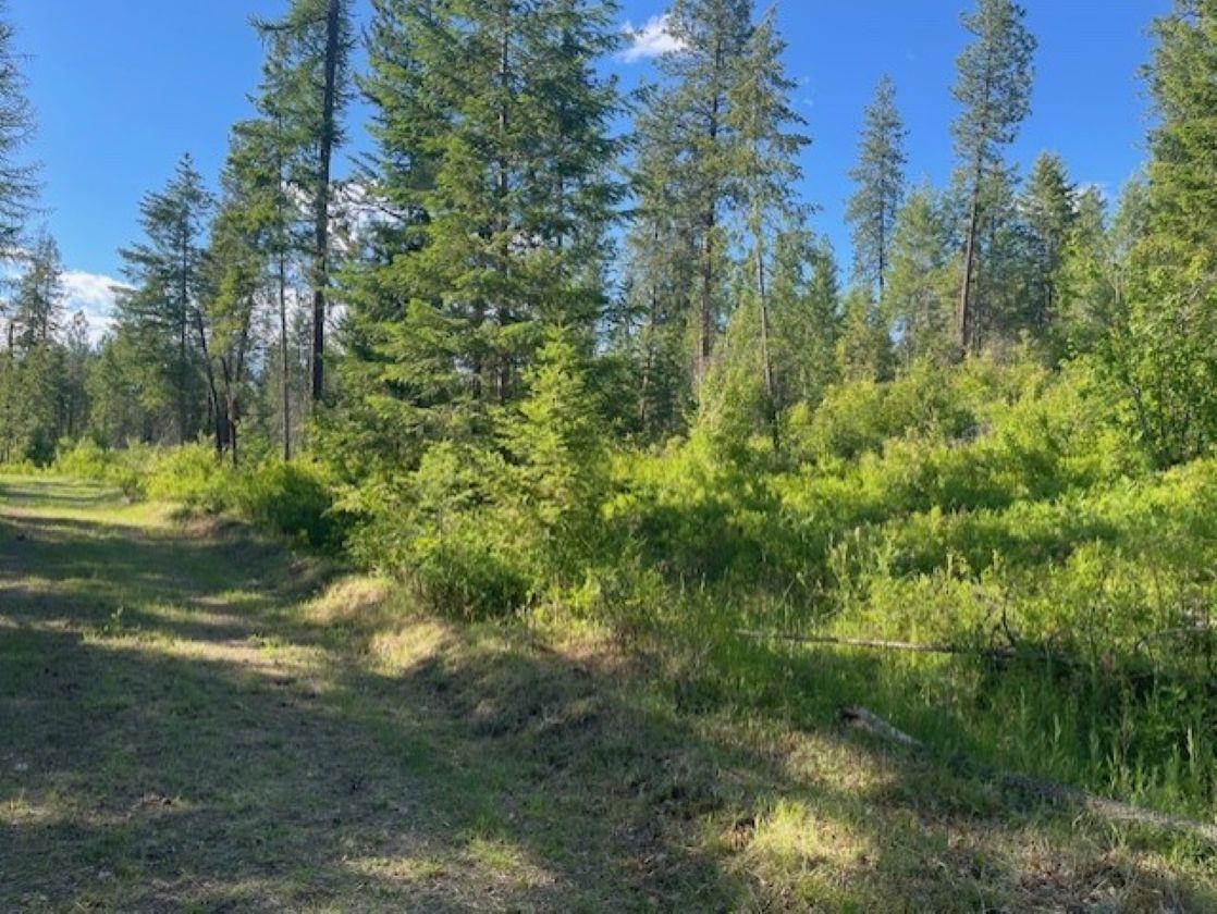 Nkn Bead Lake Road Oldtown, ID 83822 - Photo 17 of 27