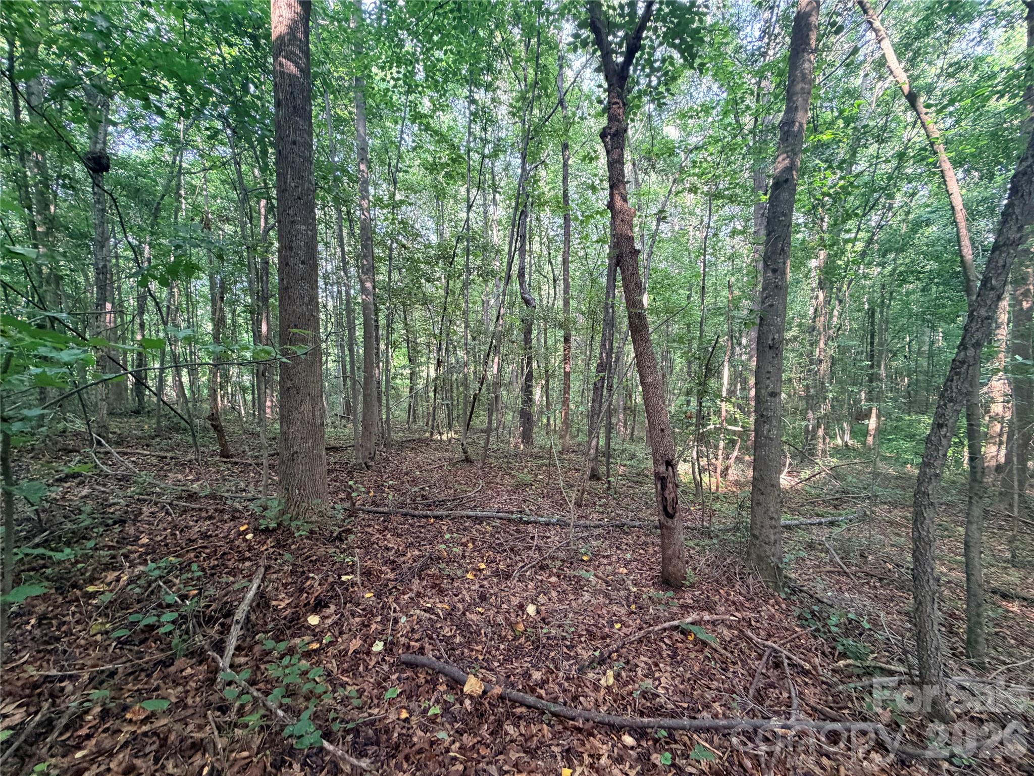 Lot 3 Schenck Farm Road Lawndale, NC 28090 - Photo 7 of 13