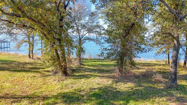 a view of back yard