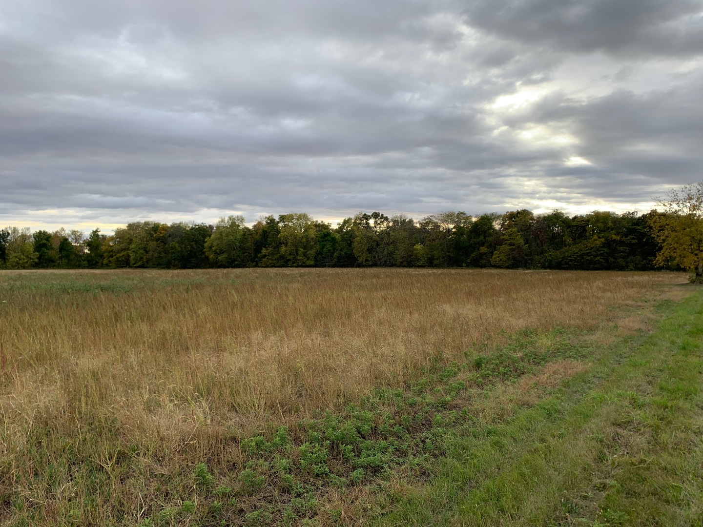 15604 Manns Chapel Road Rossville, IL 60963 - Photo 2 of 6 a view of a lake from a yard