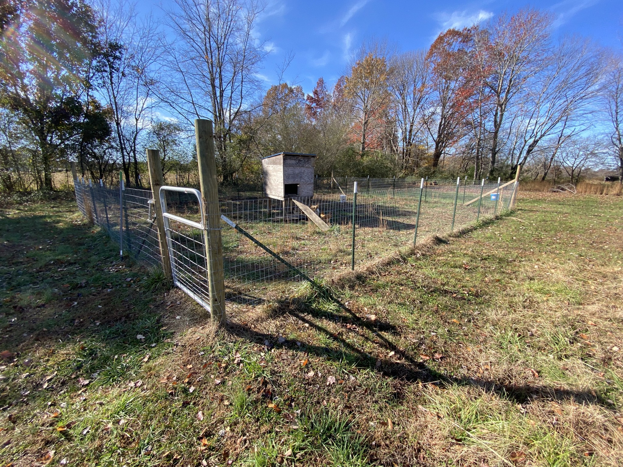 255 Rascal Town Road Loretto, TN 38469 - Photo 12 of 54