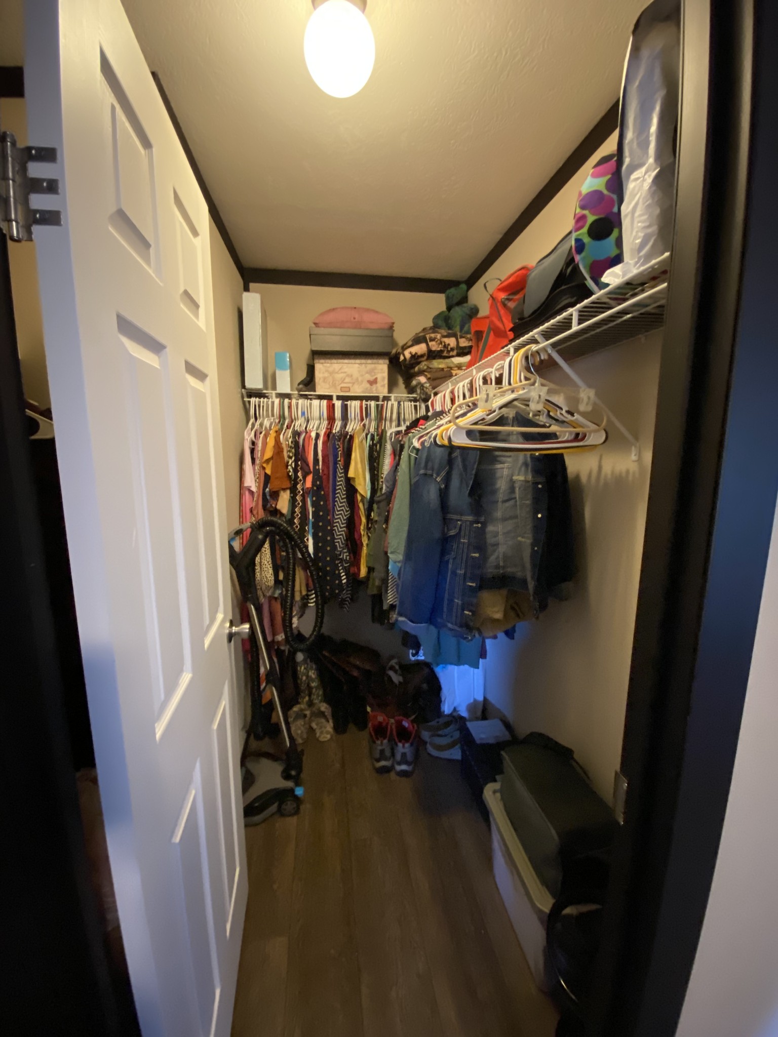 255 Rascal Town Road Loretto, TN 38469 - Photo 20 of 54 a view of walk in closet with clothes and shoes
