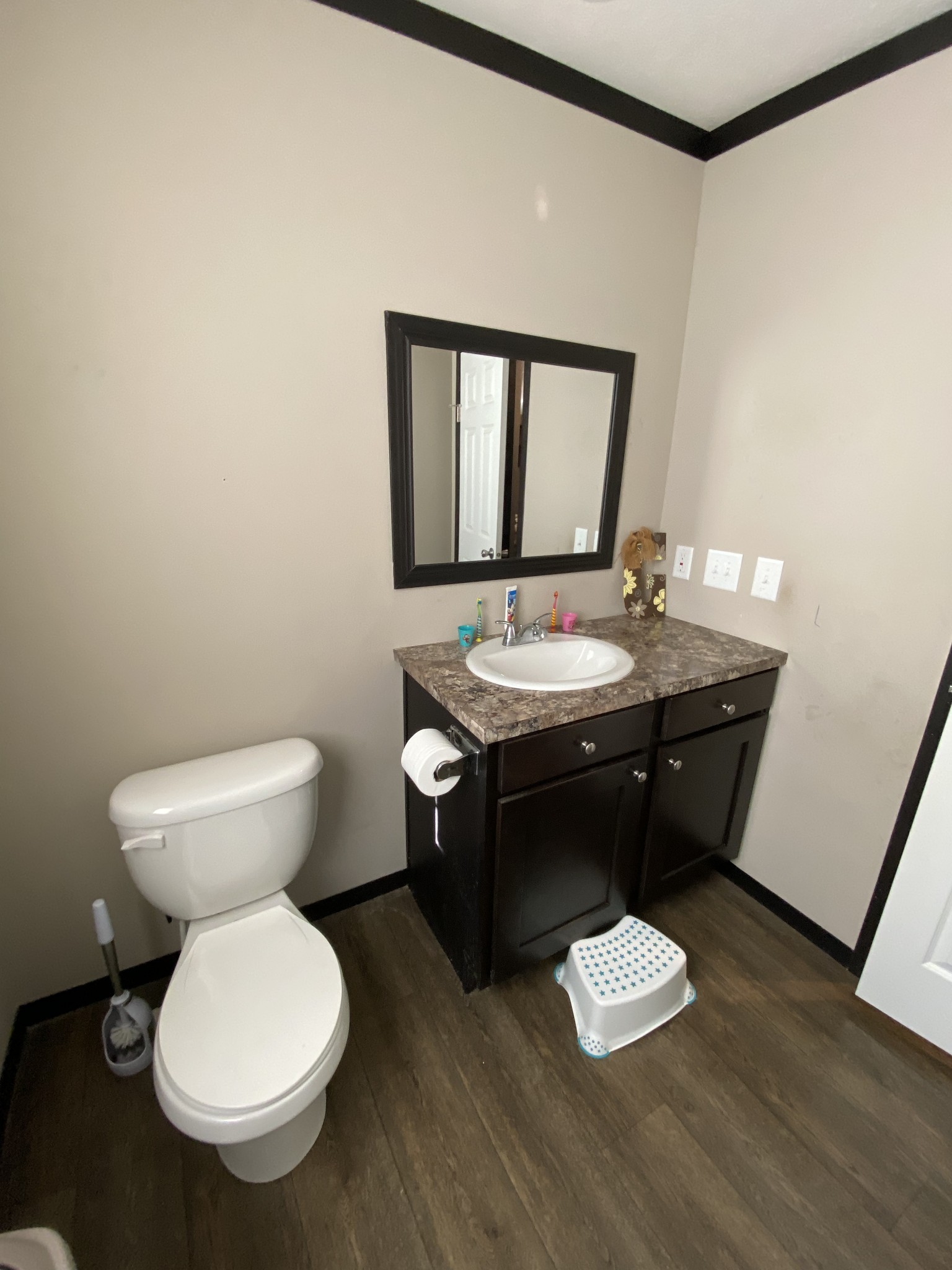 255 Rascal Town Road Loretto, TN 38469 - Photo 39 of 54 a bathroom with a granite countertop toilet a sink and a mirror
