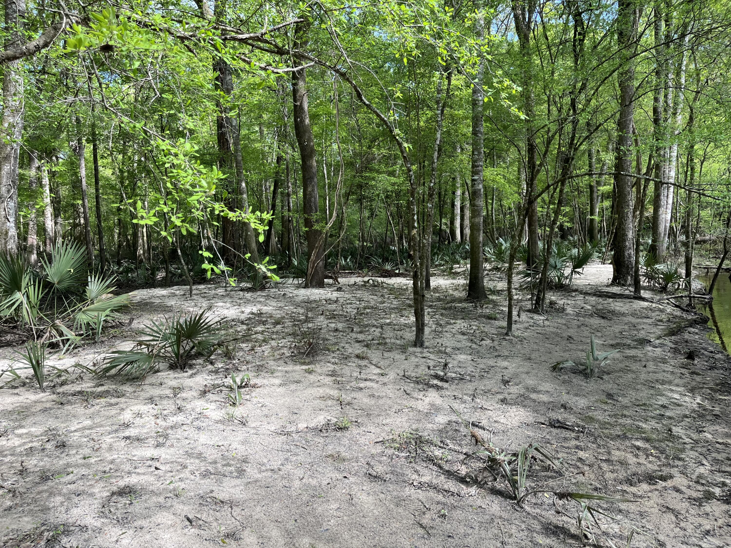 0 Red Breast Court Ridgeville, SC 29472 - Photo 11 of 40 0 red 9