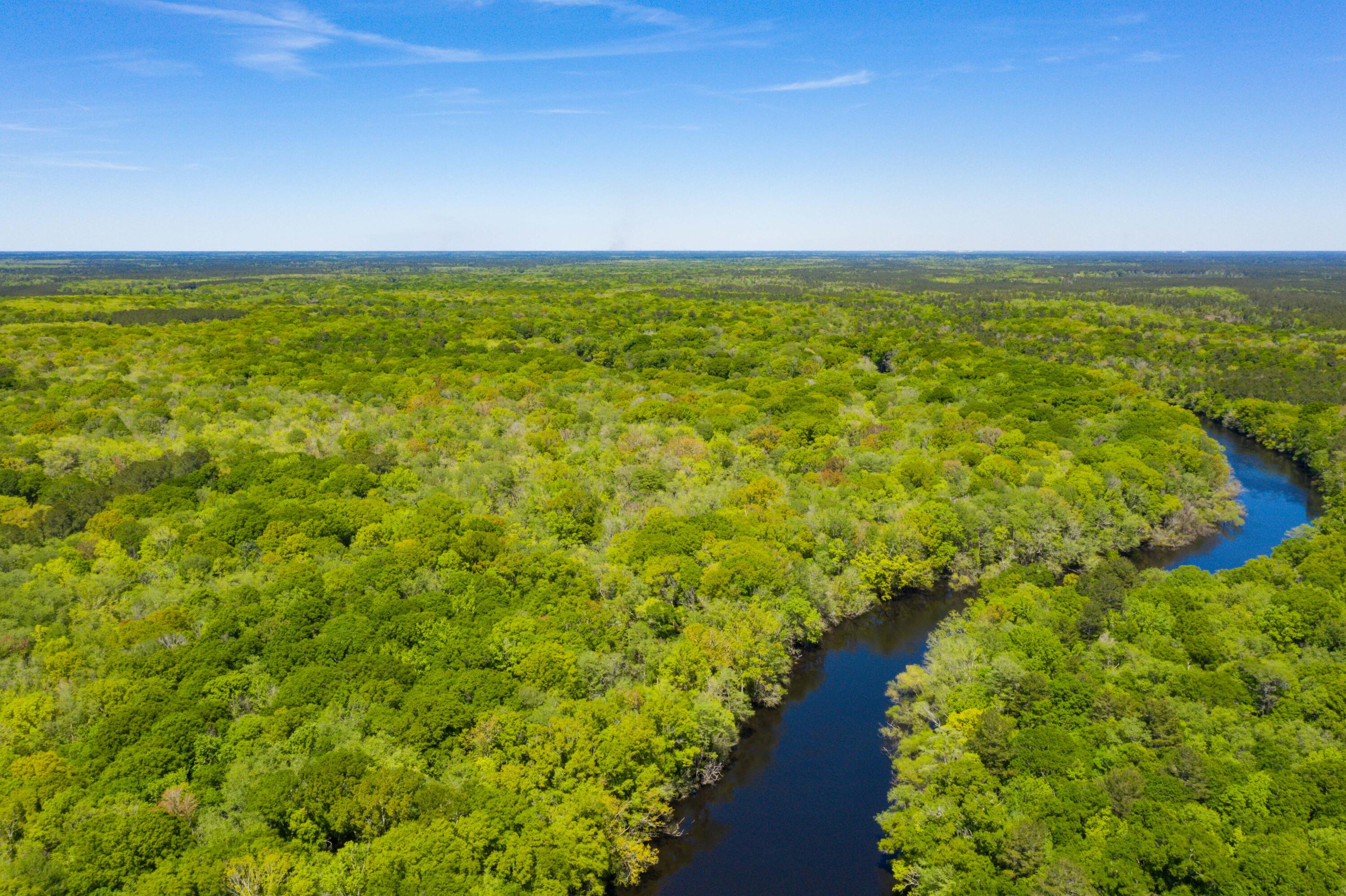 0 Red Breast Court Ridgeville, SC 29472 - Photo 12 of 40 EYE-9233