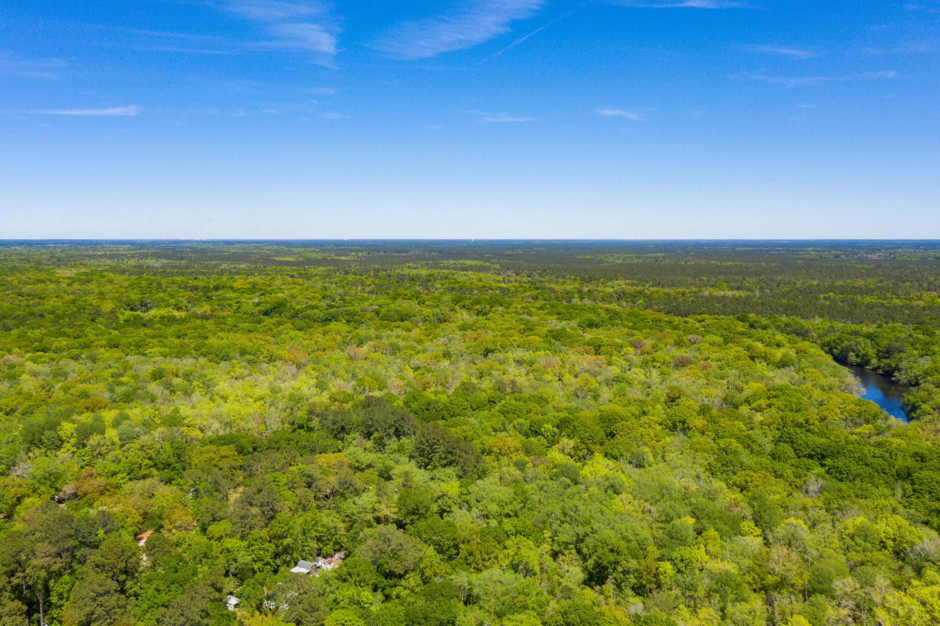 0 Red Breast Court Ridgeville, SC 29472 - Photo 14 of 40 EYE-9234