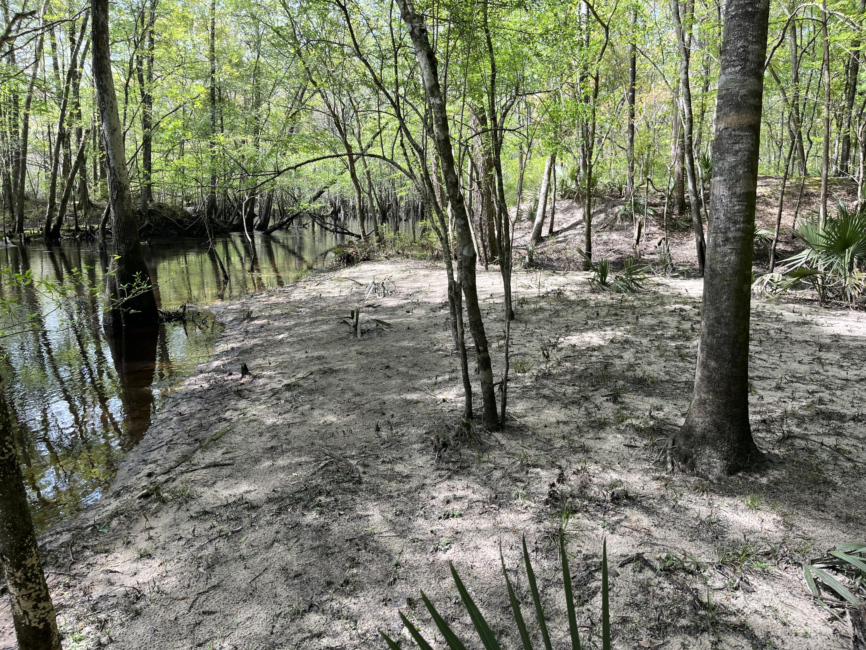 0 Red Breast Court Ridgeville, SC 29472 - Photo 15 of 40 red 11