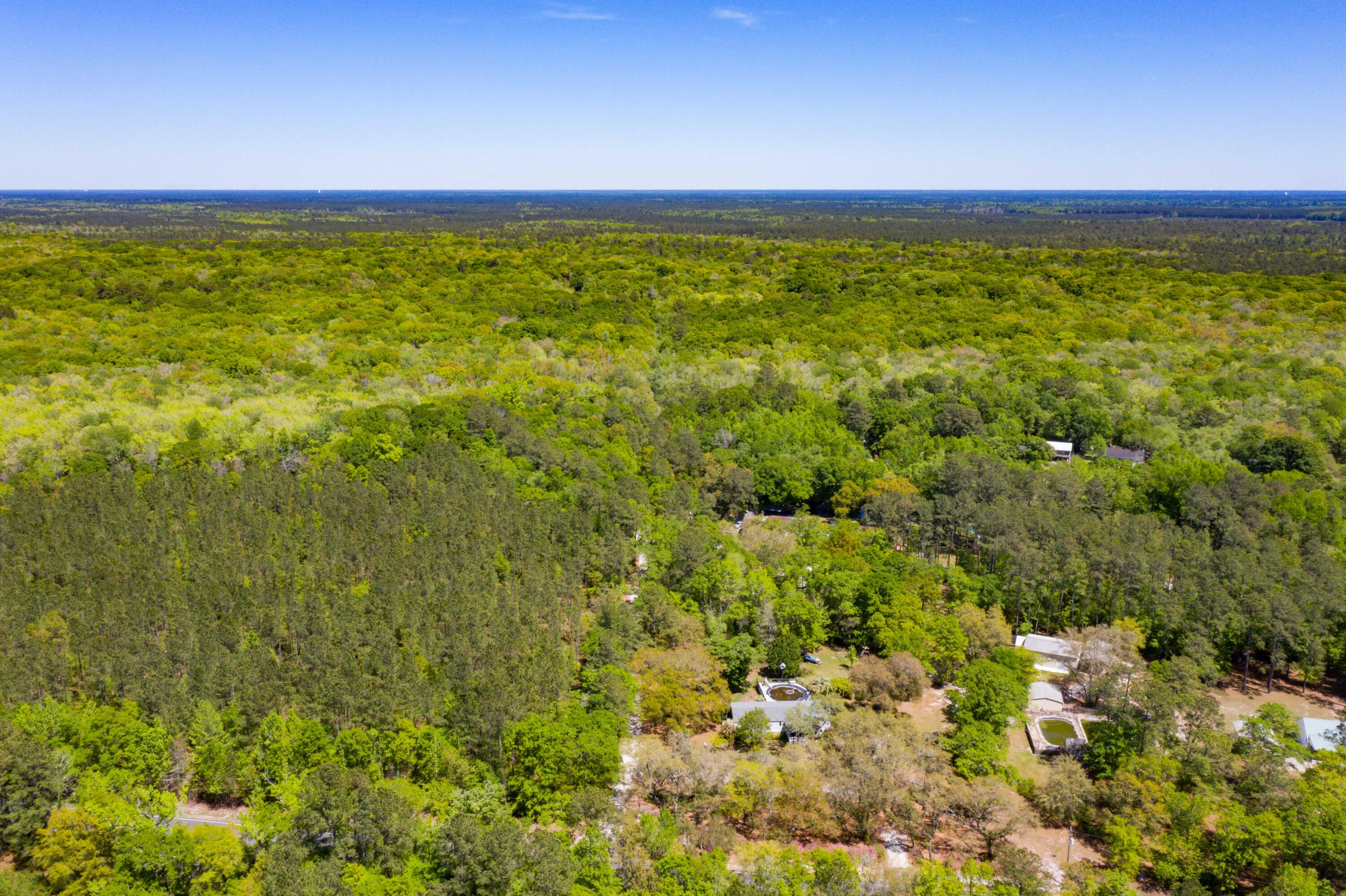 0 Red Breast Court Ridgeville, SC 29472 - Photo 18 of 40 EYE-9238