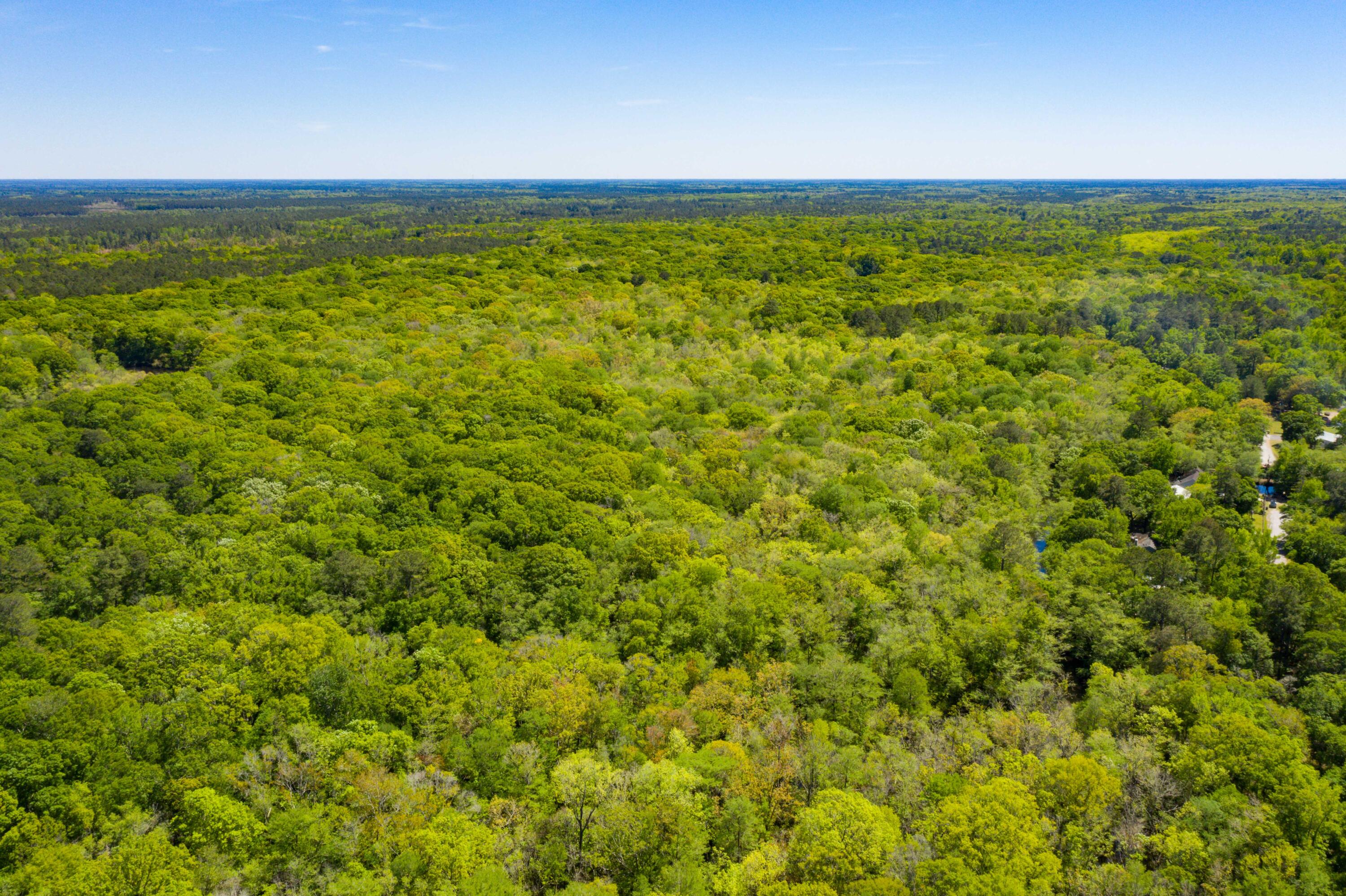 0 Red Breast Court Ridgeville, SC 29472 - Photo 20 of 40 EYE-9240