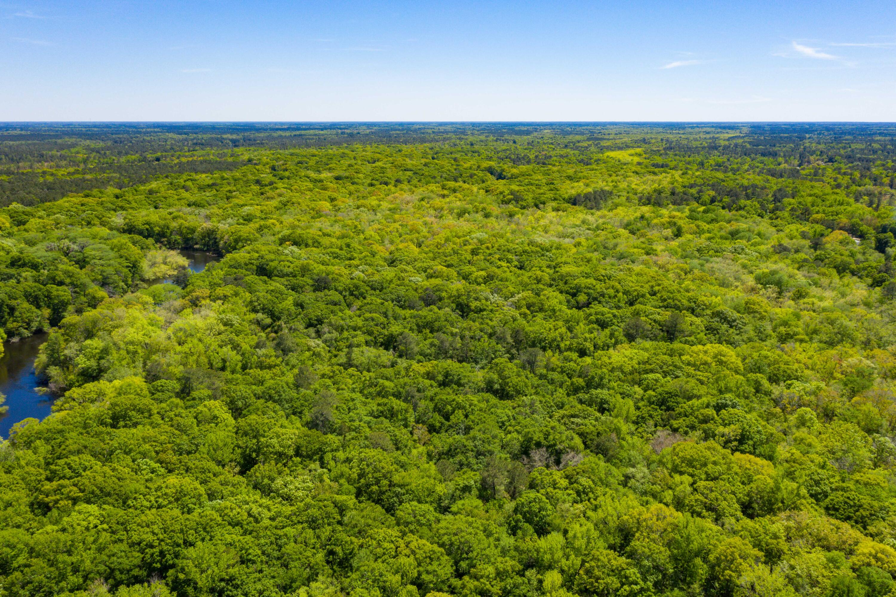0 Red Breast Court Ridgeville, SC 29472 - Photo 23 of 40 EYE-9243