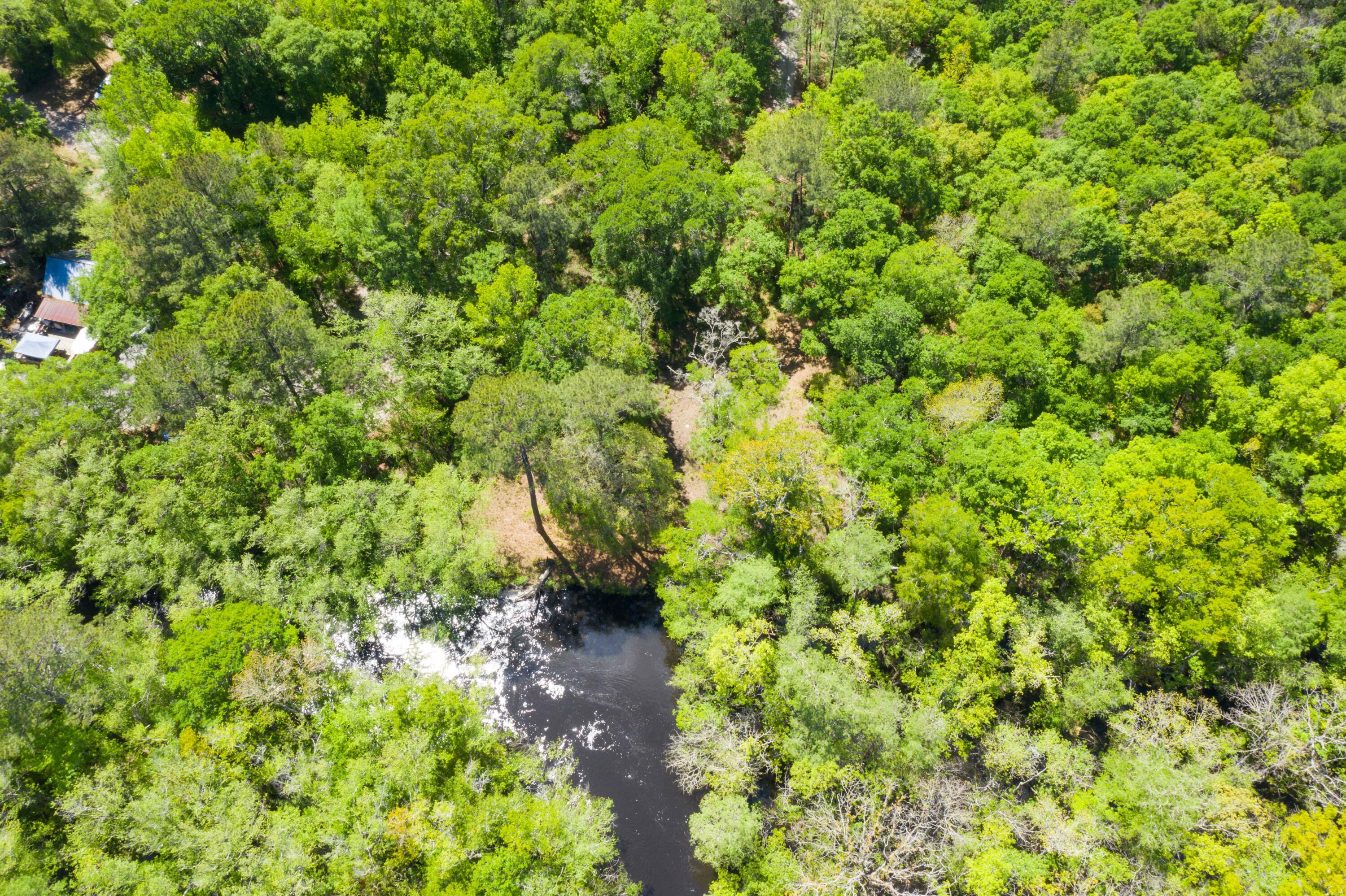 0 Red Breast Court Ridgeville, SC 29472 - Photo 26 of 40 EYE-9247
