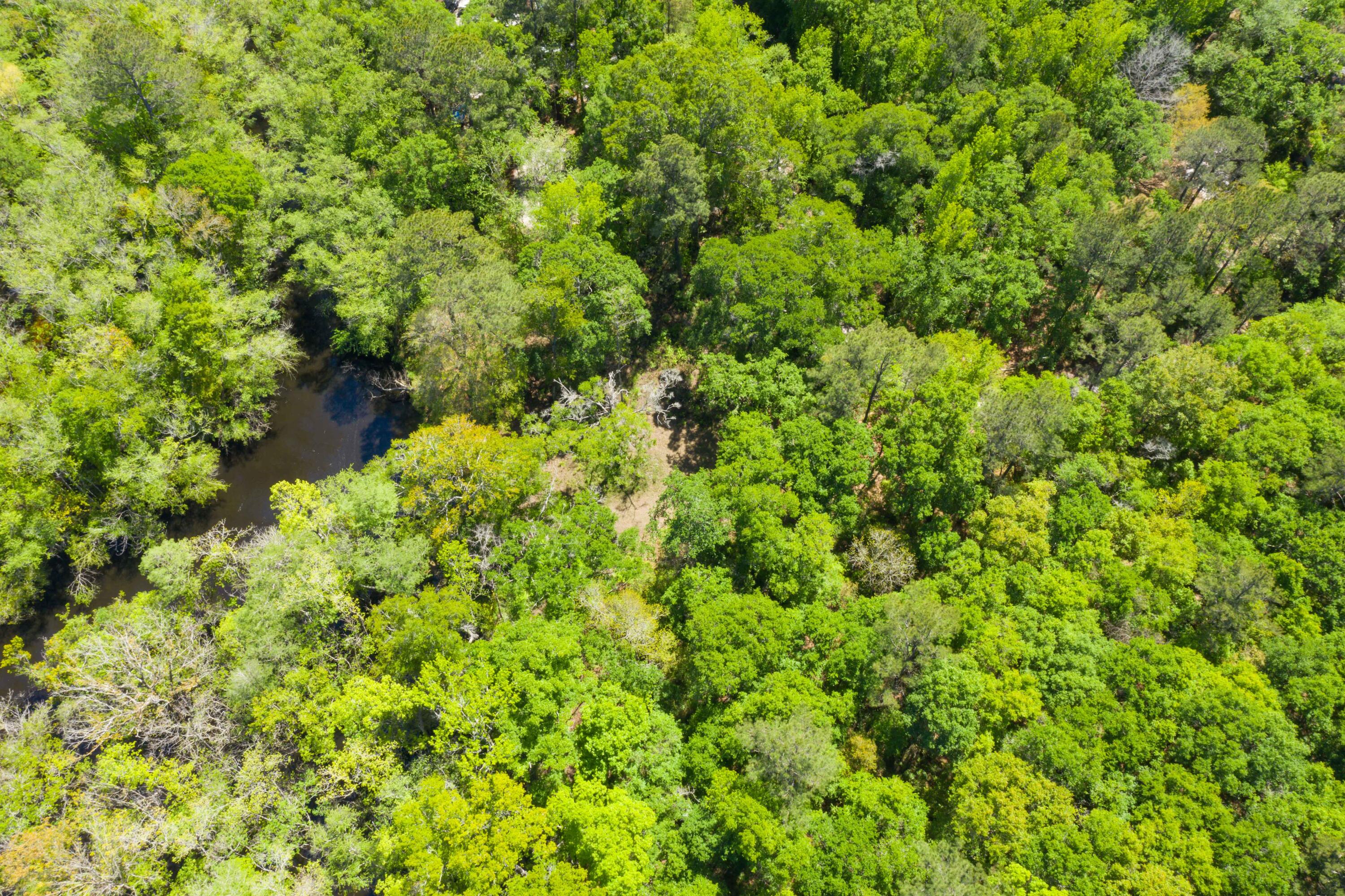 0 Red Breast Court Ridgeville, SC 29472 - Photo 27 of 40 EYE-9248
