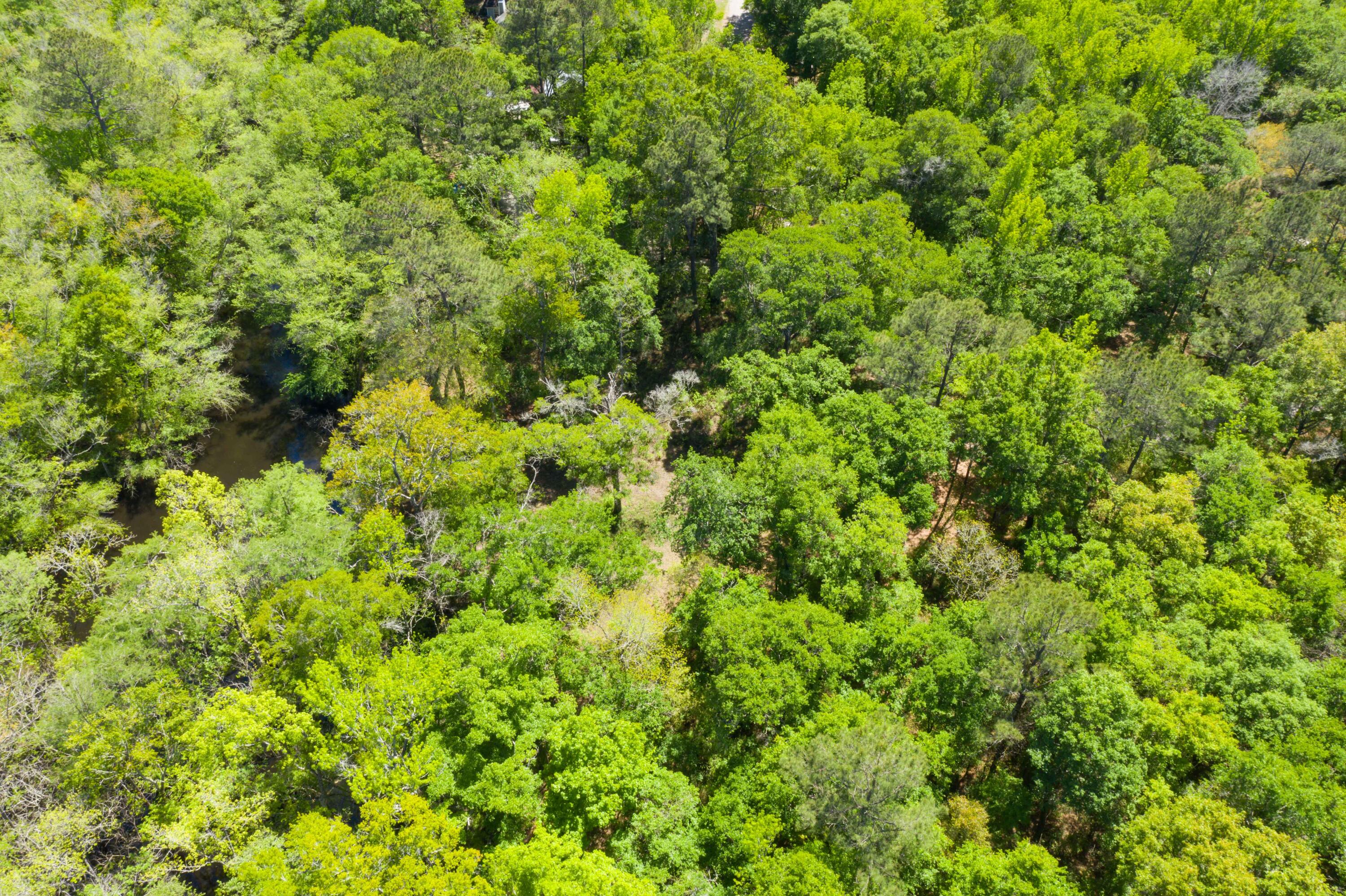 0 Red Breast Court Ridgeville, SC 29472 - Photo 28 of 40 EYE-9249