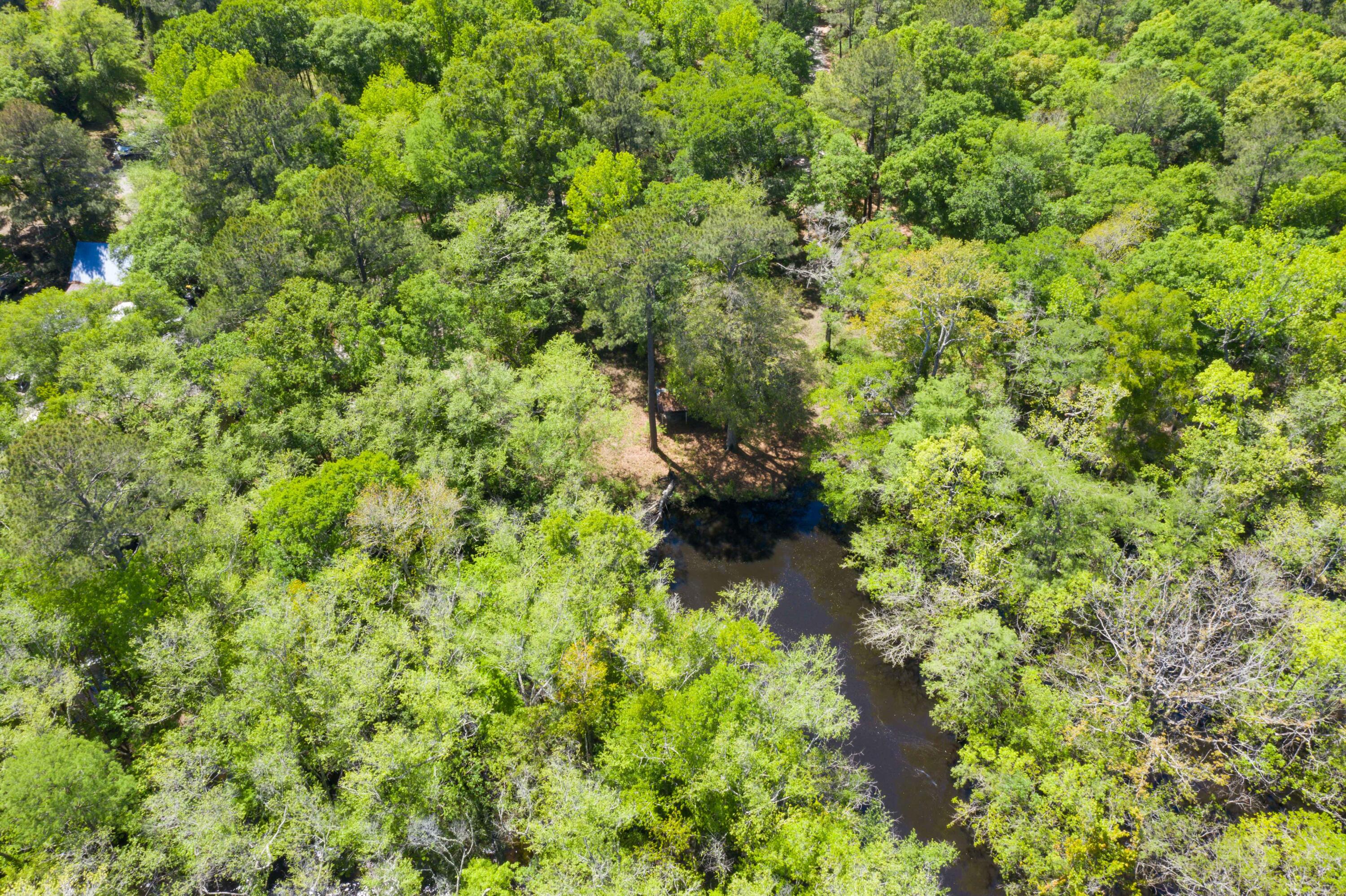 0 Red Breast Court Ridgeville, SC 29472 - Photo 29 of 40 EYE-9250