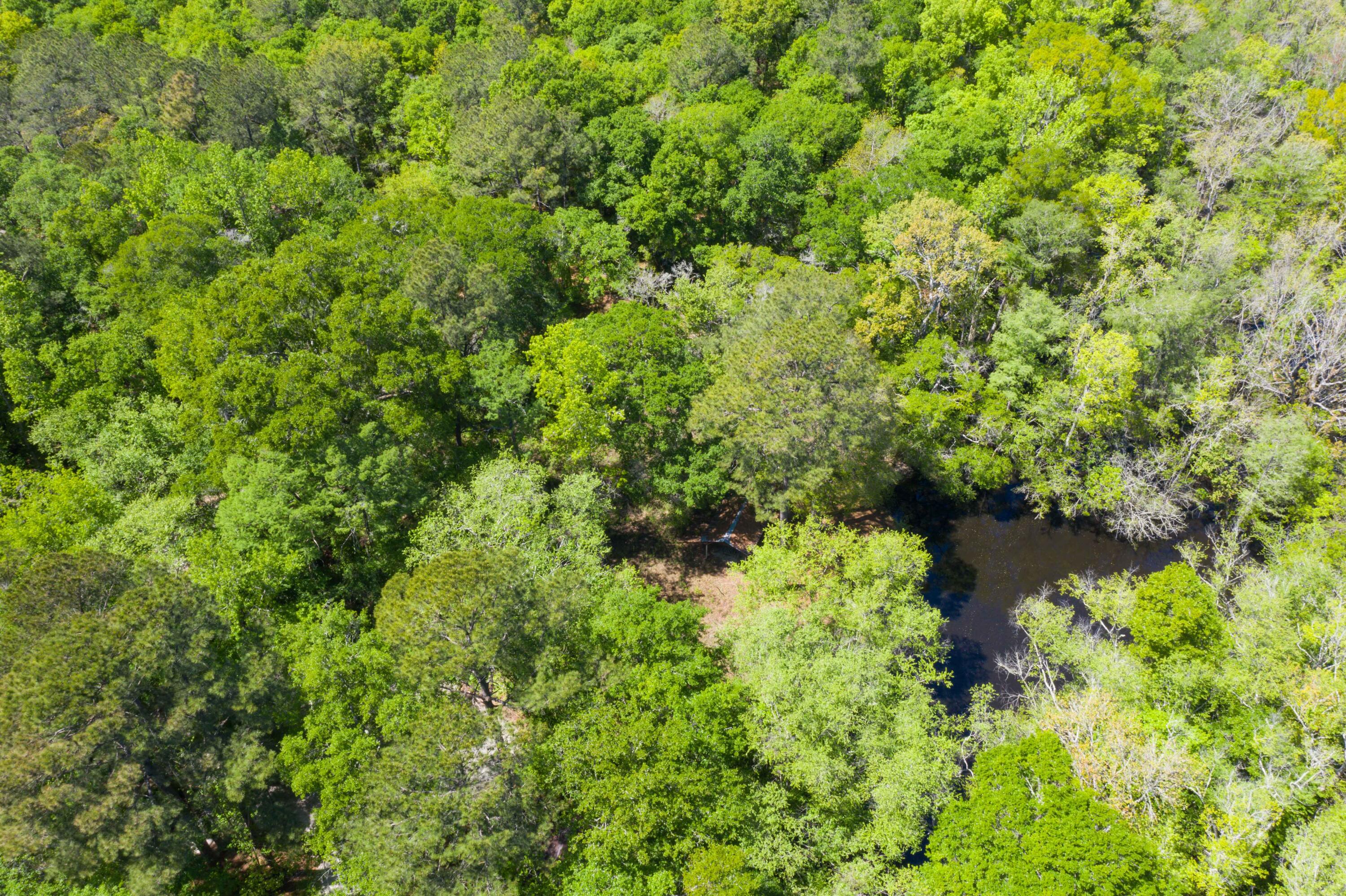 0 Red Breast Court Ridgeville, SC 29472 - Photo 30 of 40 EYE-9252