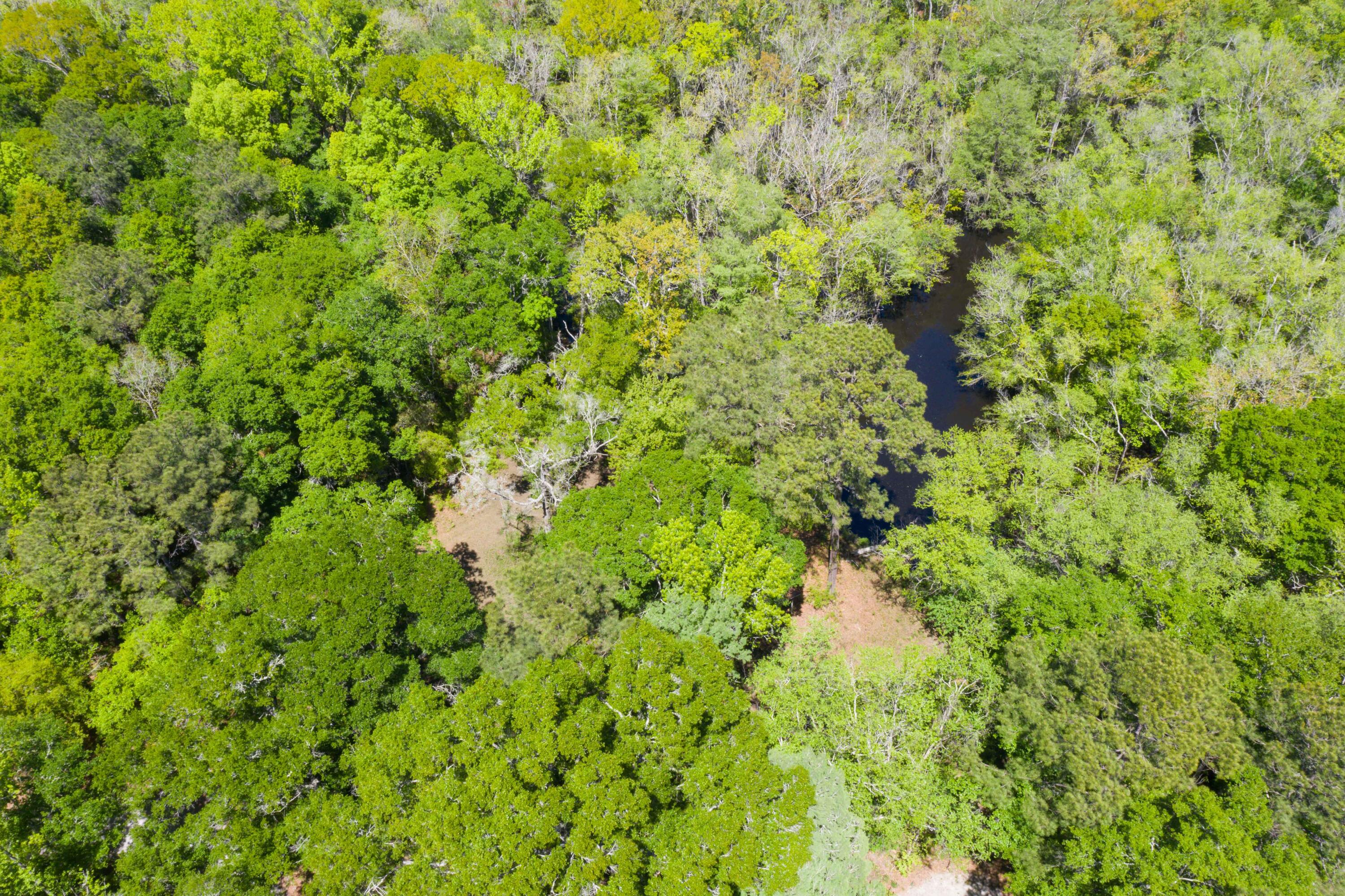 0 Red Breast Court Ridgeville, SC 29472 - Photo 32 of 40 EYE-9254