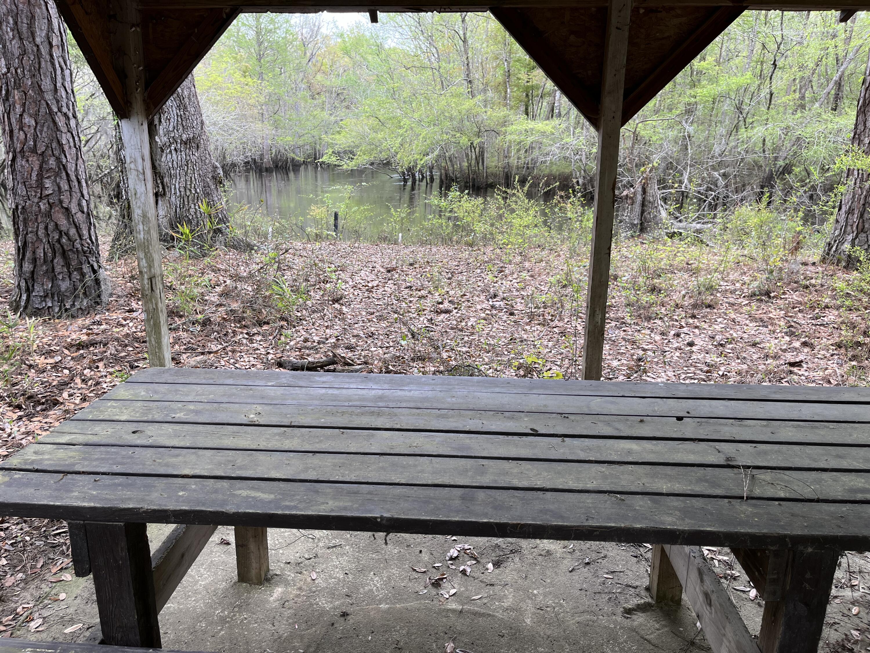 0 Red Breast Court Ridgeville, SC 29472 - Photo 34 of 40 red 4