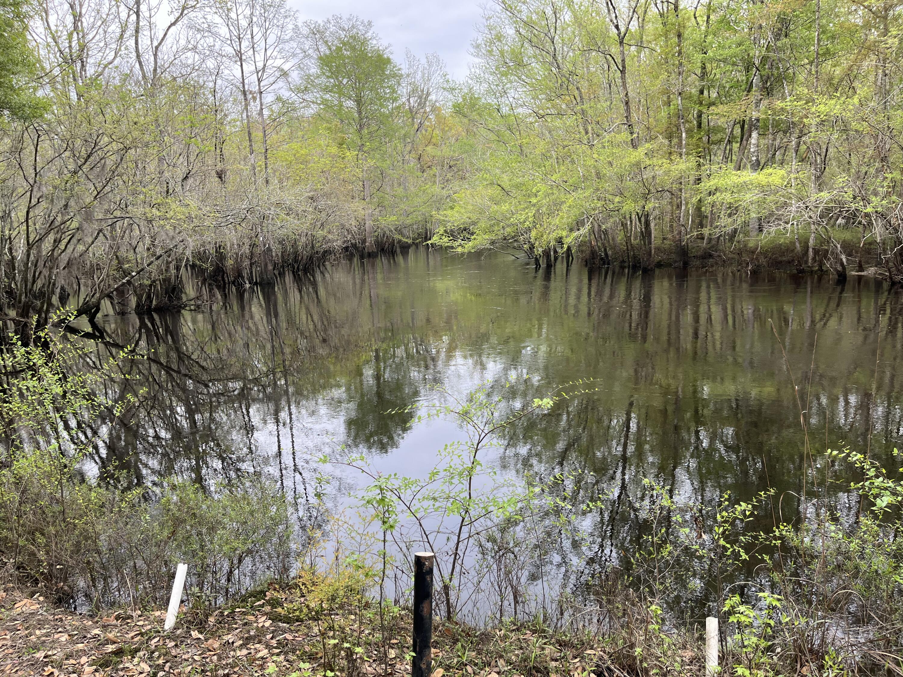 0 Red Breast Court Ridgeville, SC 29472 - Photo 36 of 40 red 7