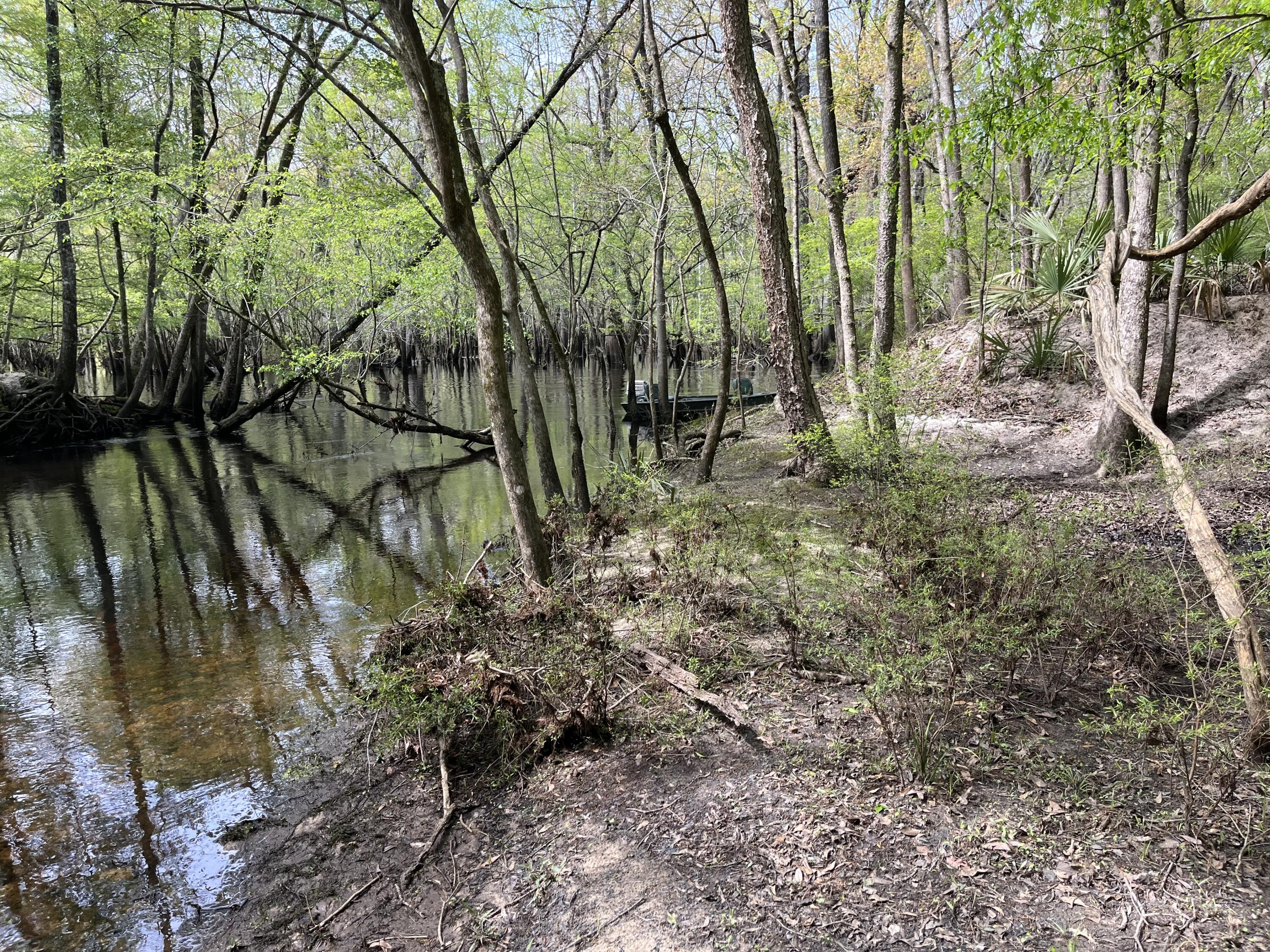 0 Red Breast Court Ridgeville, SC 29472 - Photo 37 of 40 red 12