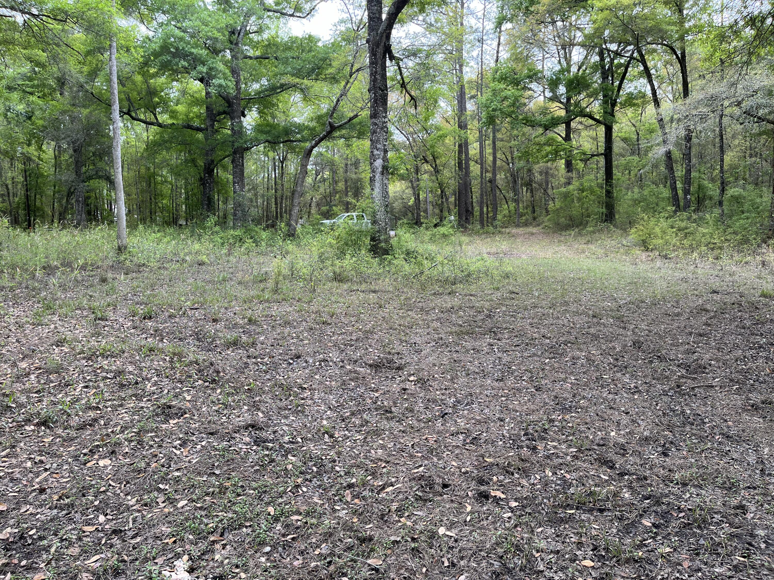 0 Red Breast Court Ridgeville, SC 29472 - Photo 5 of 40 red 9