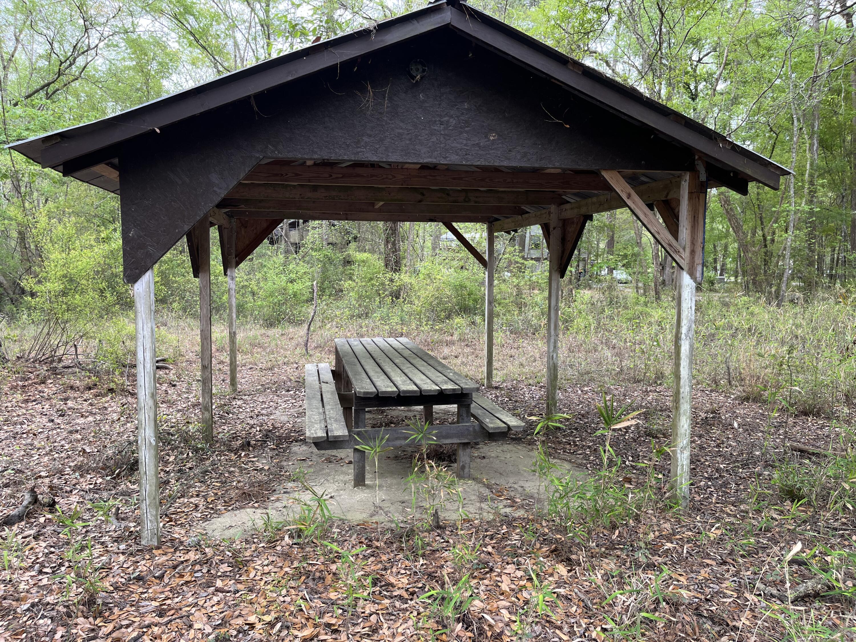 0 Red Breast Court Ridgeville, SC 29472 - Photo 6 of 40 red 3