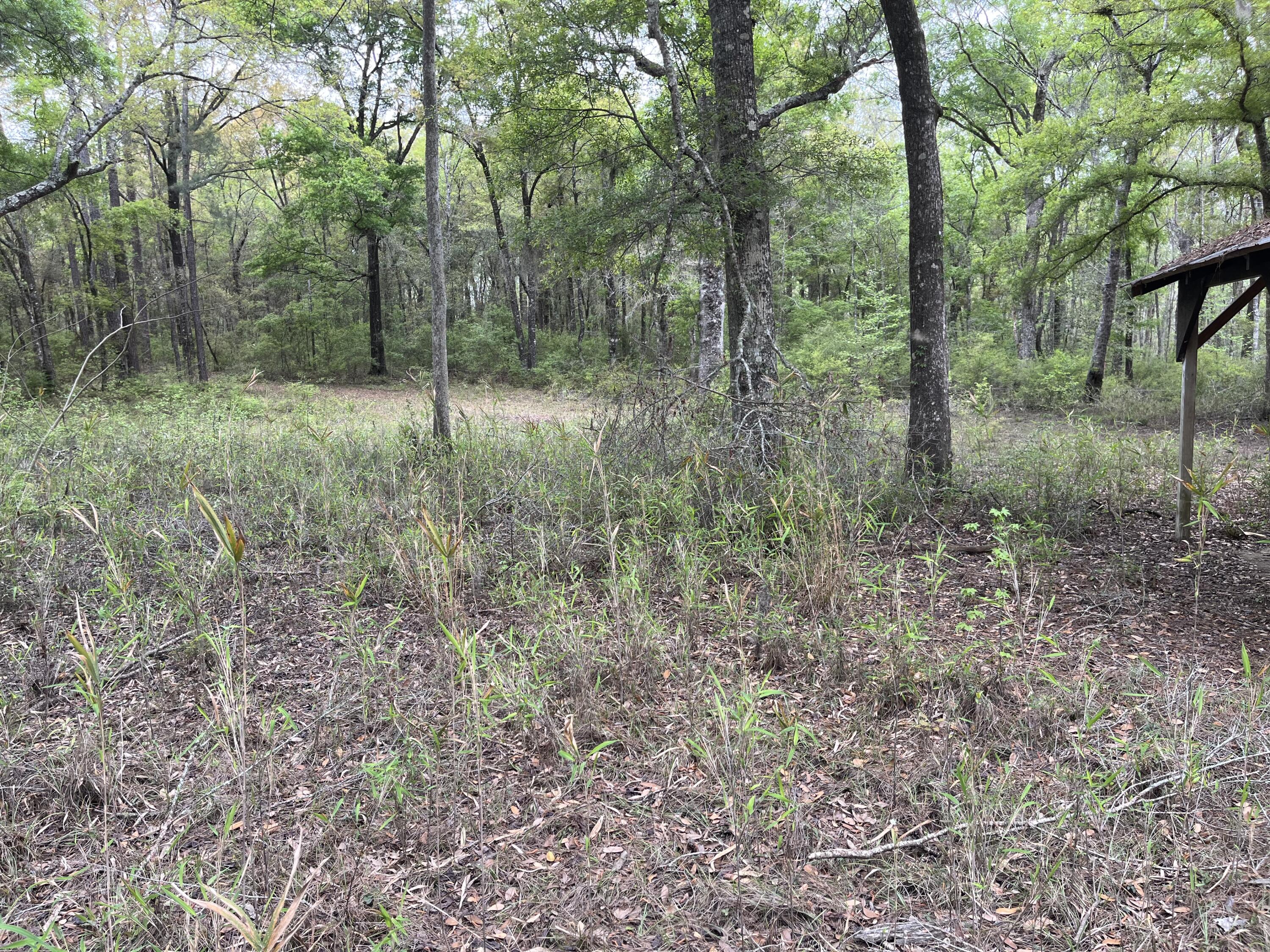 0 Red Breast Court Ridgeville, SC 29472 - Photo 7 of 40 red 5
