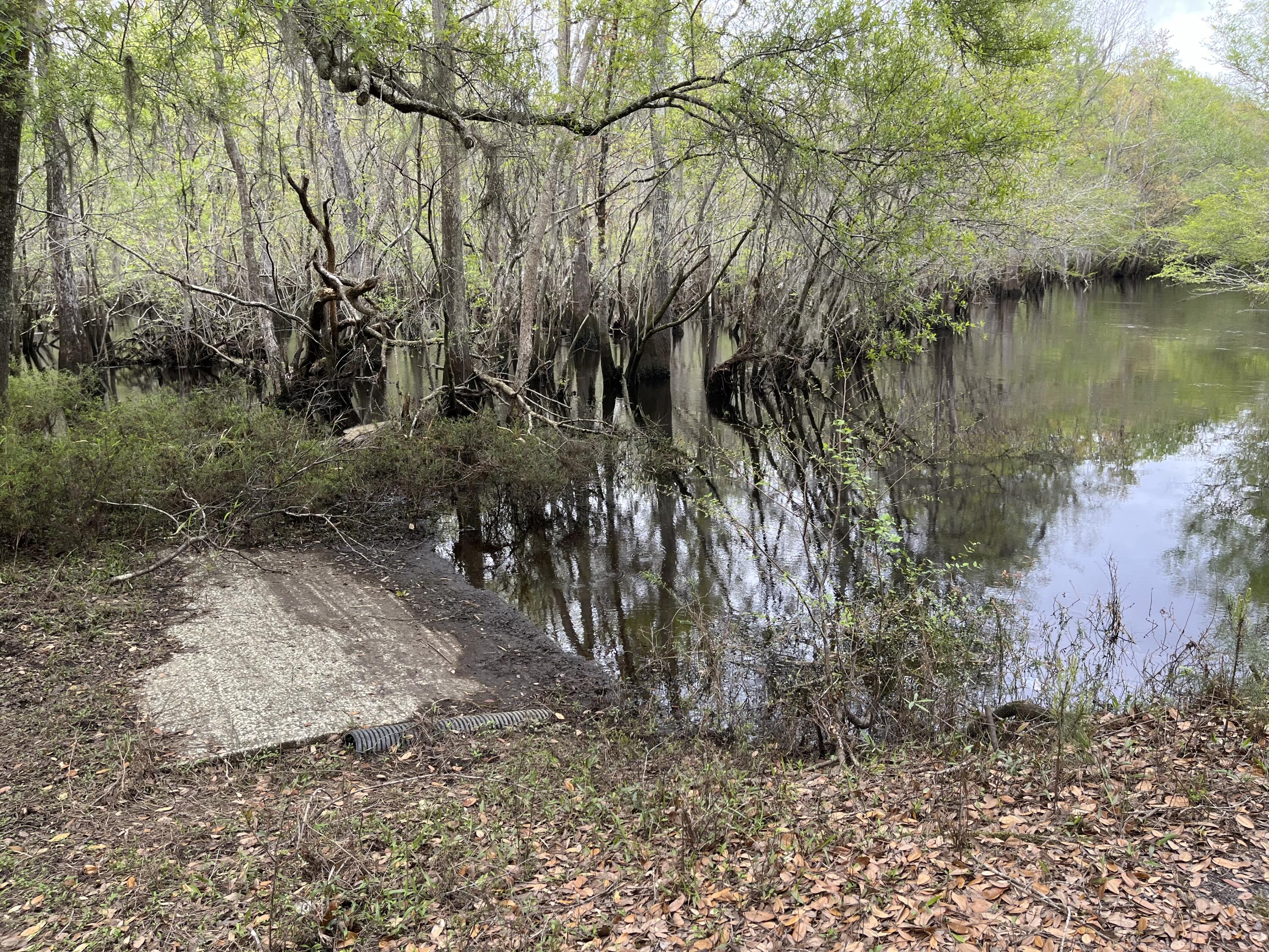 0 Red Breast Court Ridgeville, SC 29472 - Photo 8 of 40 red 8