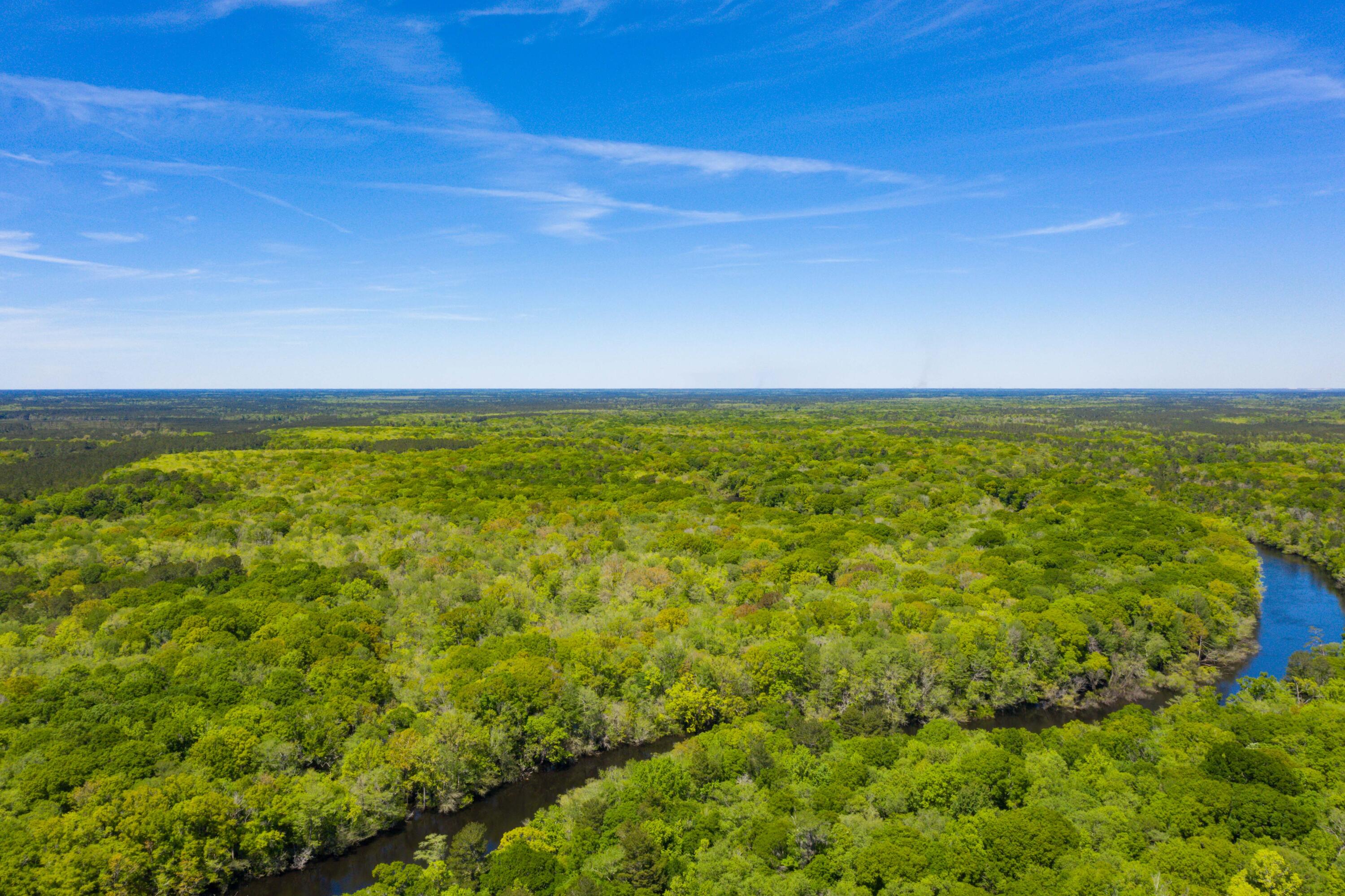 0 Red Breast Court Ridgeville, SC 29472 - Photo 10 of 40 EYE-9231