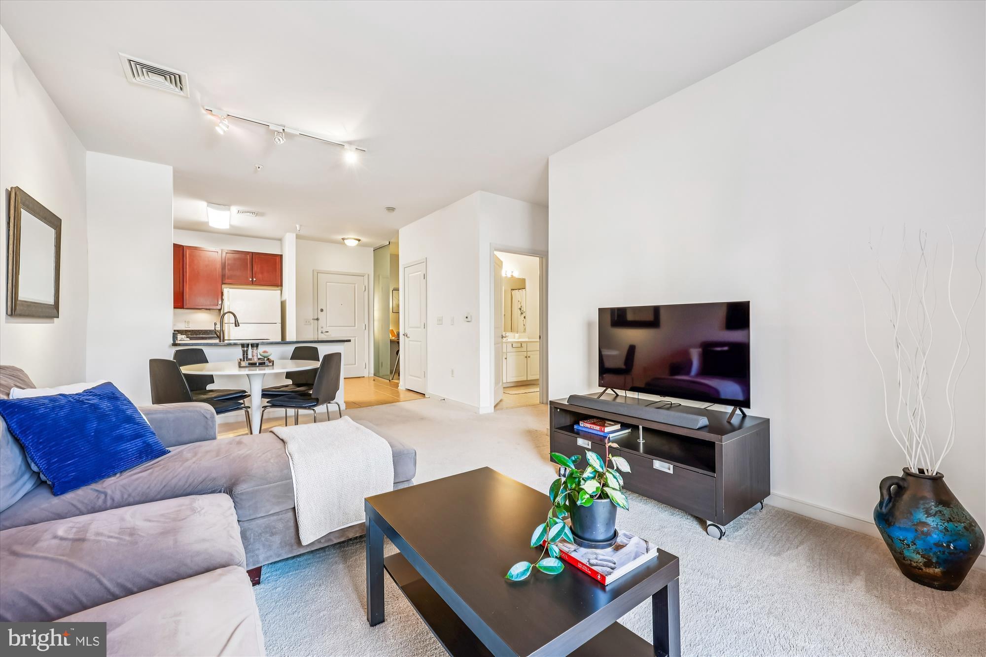 8045 Newell Street, Unit 215 Silver Spring, MD 20910 - Photo 15 of 31 a living room with furniture and a flat screen tv