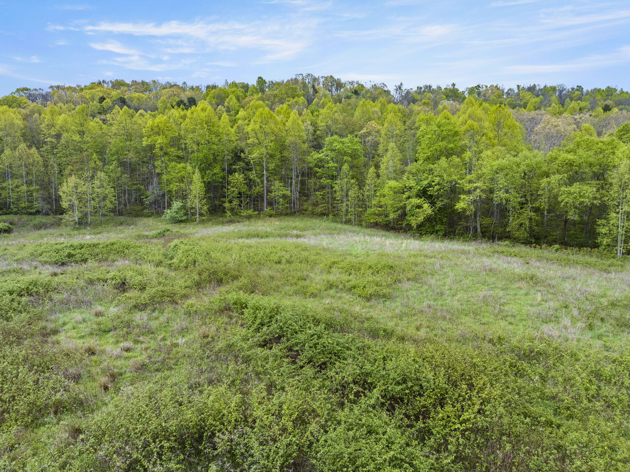 2950 Big Barn Road Tyner, KY 40486 - Photo 7 of 8 8-web-or-mls-DJI_20240427172414_0772_D