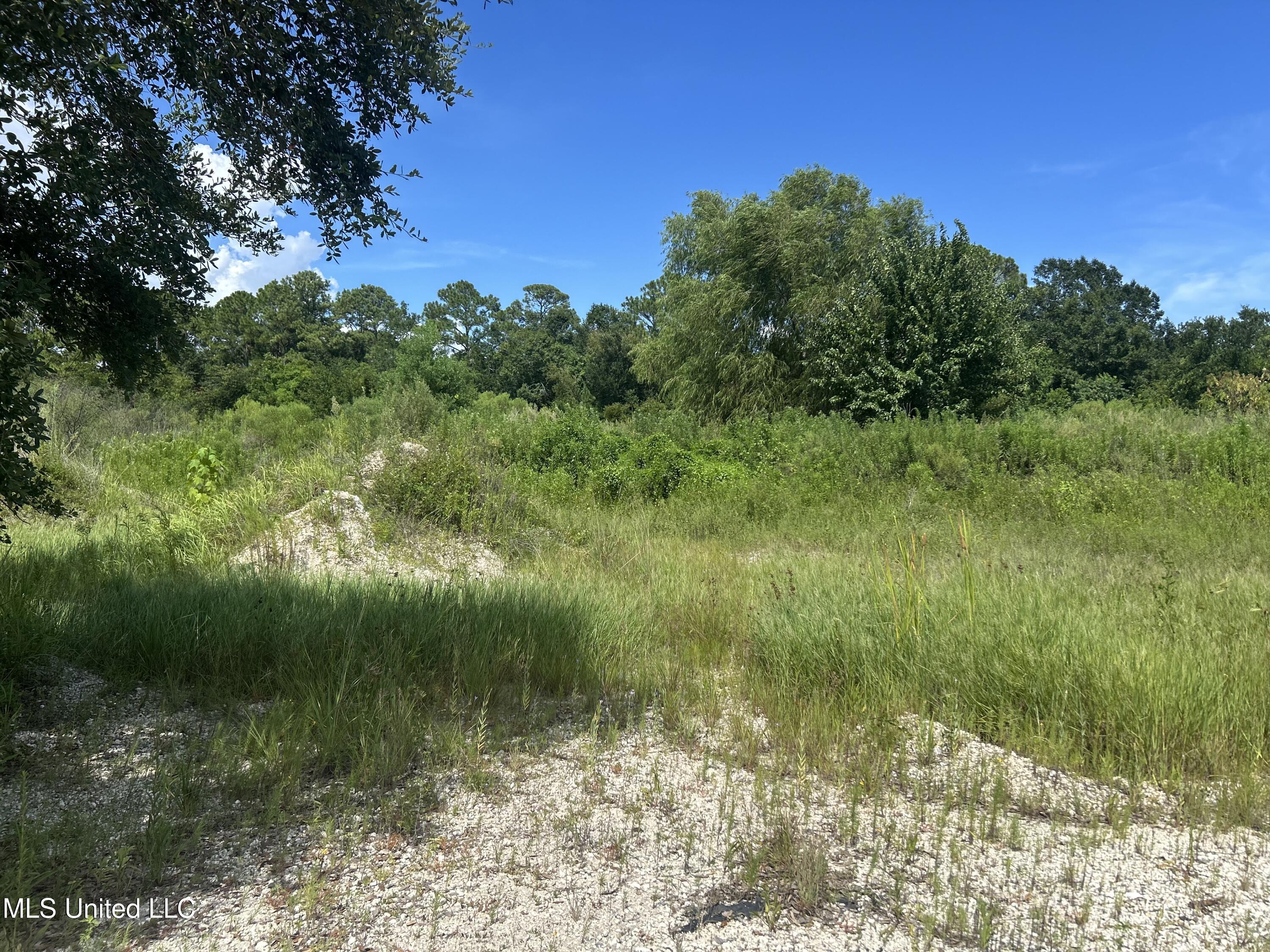 0 E Street Pascagoula, MS 39567 - Photo 2 of 4 IMG_5133