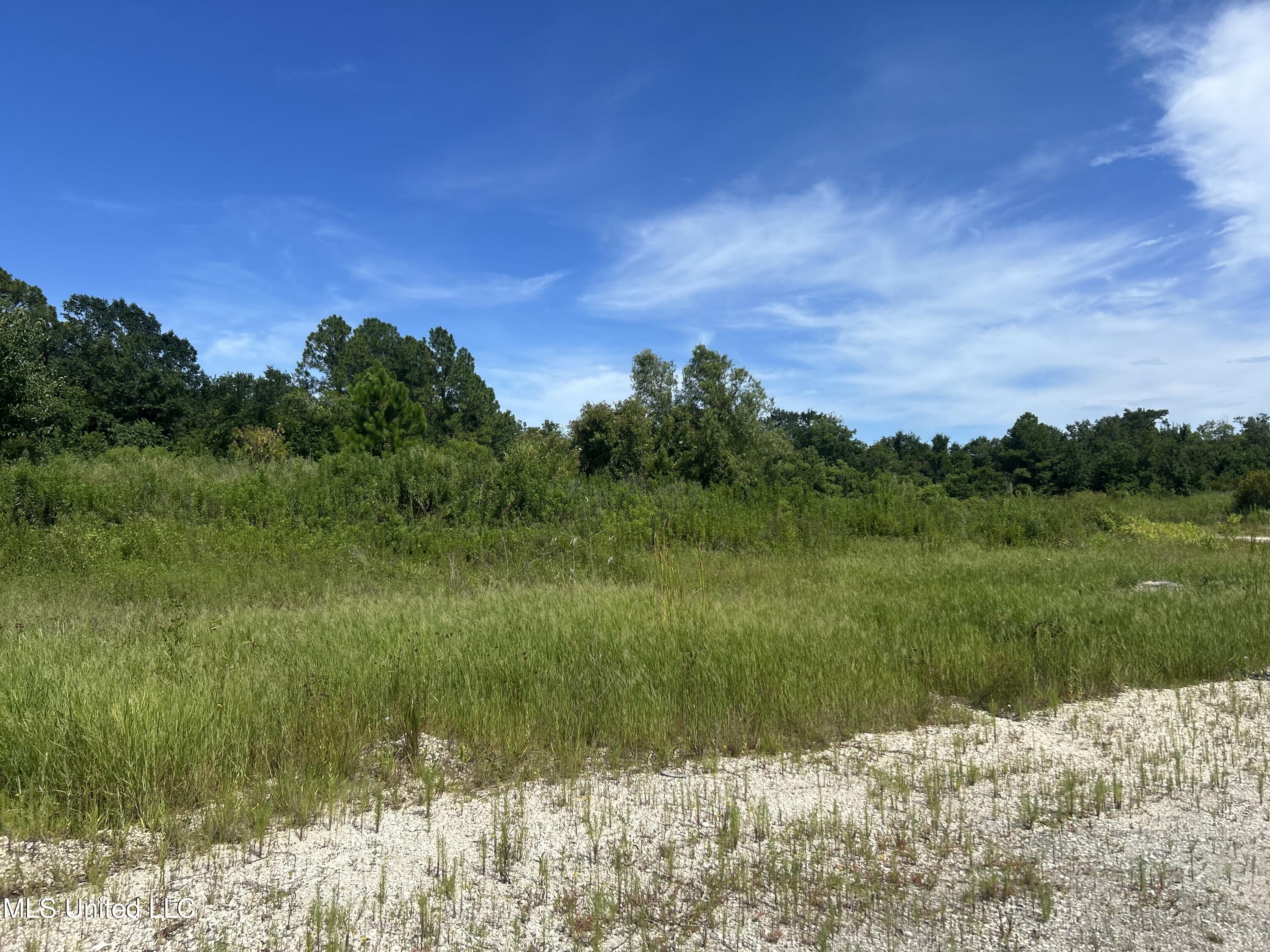 0 E Street Pascagoula, MS 39567 - Photo 3 of 4 IMG_5132