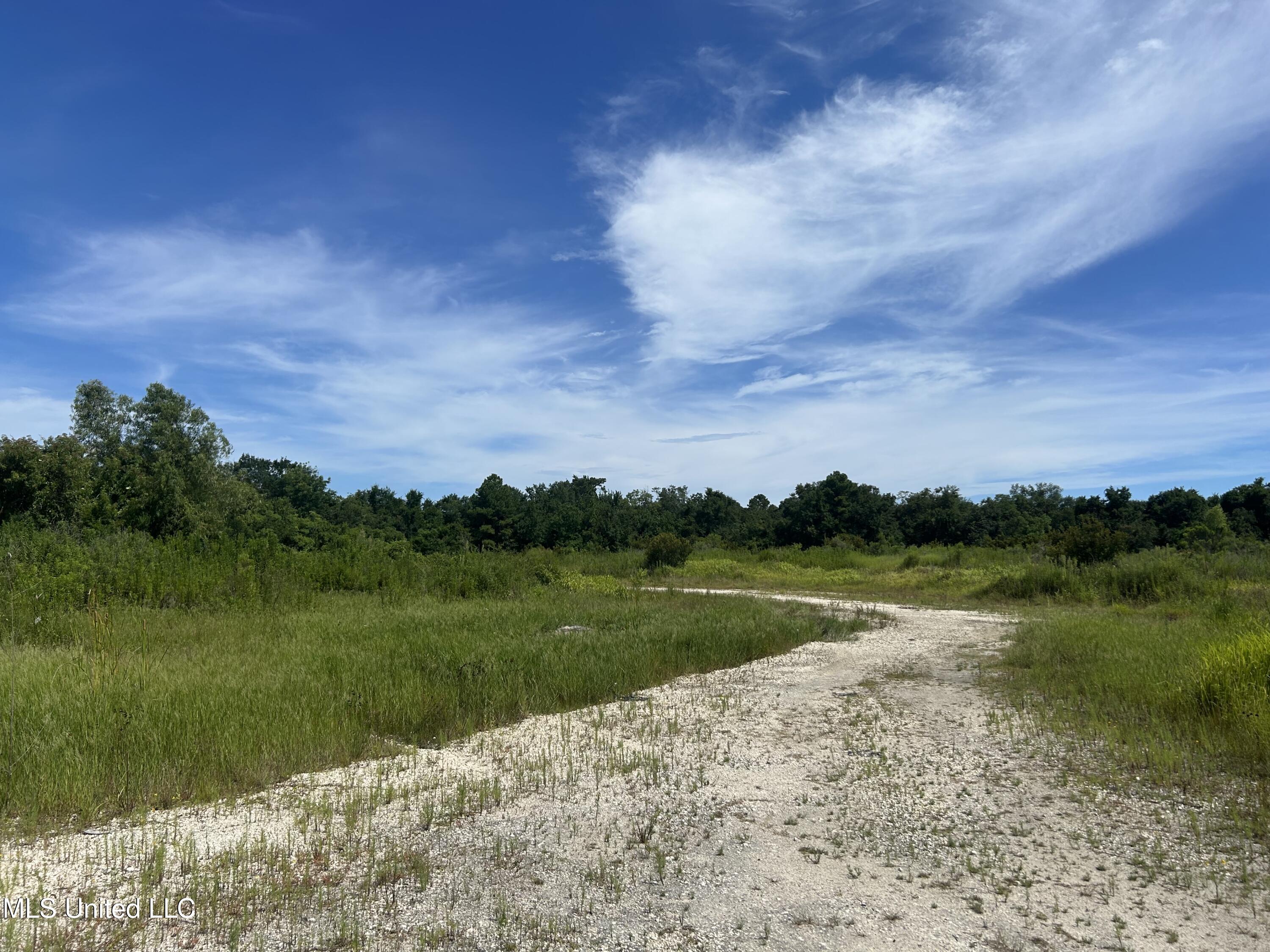 0 E Street Pascagoula, MS 39567 - Photo 4 of 4 IMG_5131