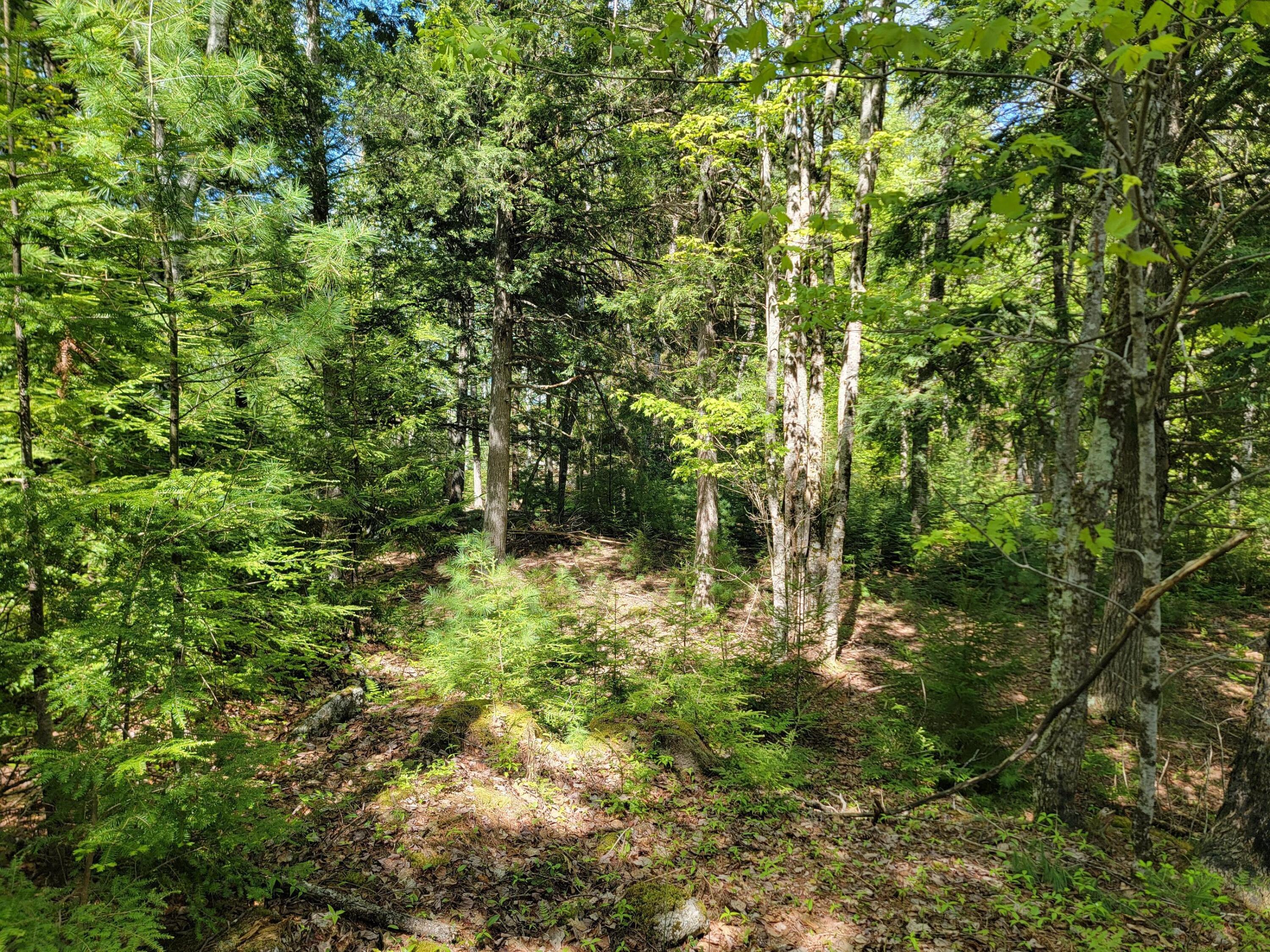 0 West Appleton Road Appleton, ME 04862 - Photo 11 of 27 sq4ExyG