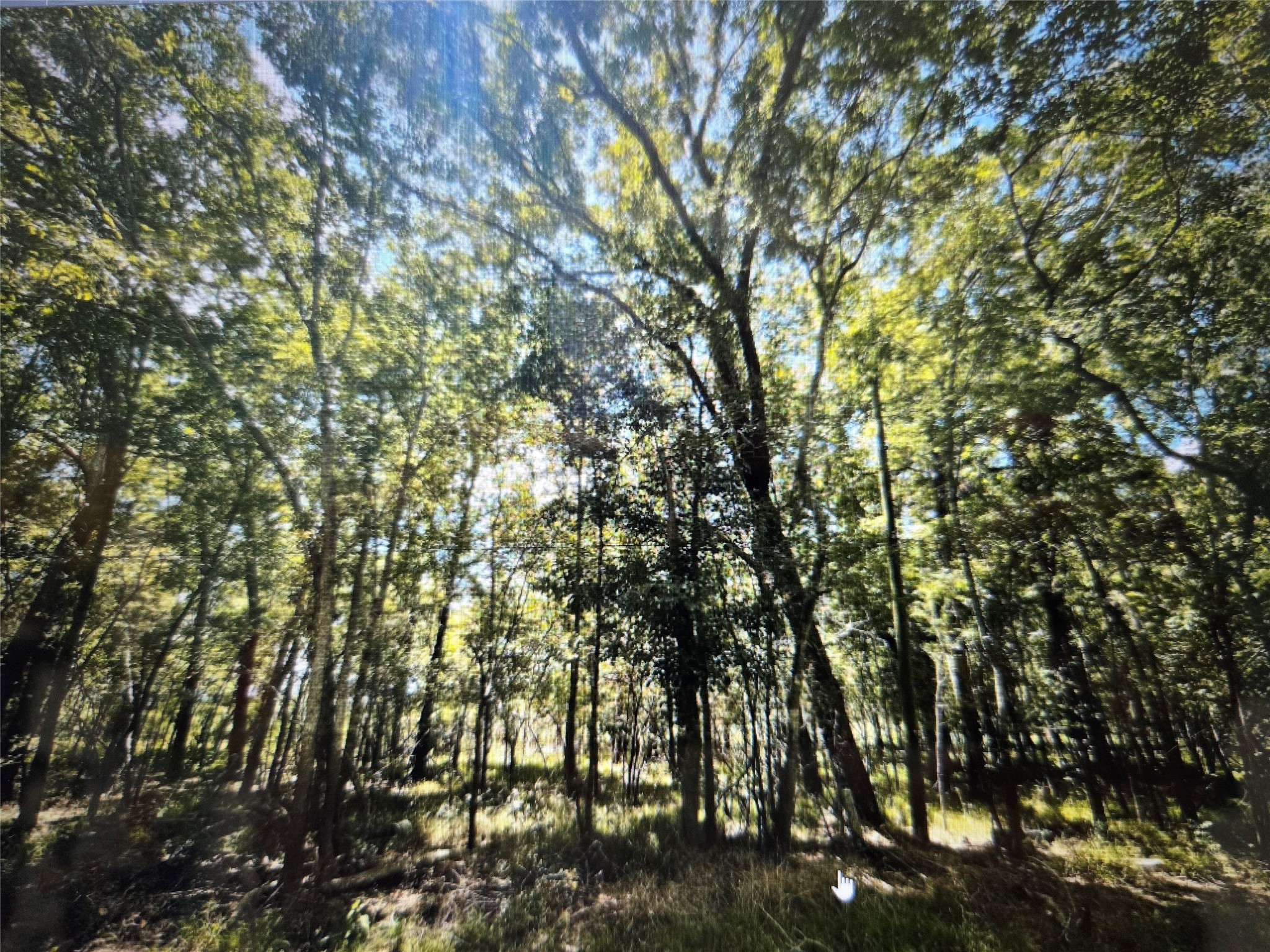 Lot 822 Eskimo Lane/ Path Angleton, TX 77515 - Photo 2 of 12