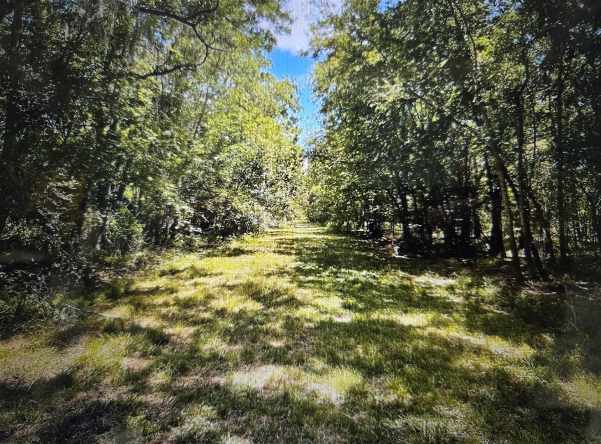Lot 822 Eskimo Lane/ Path Angleton, TX 77515 - Photo 6 of 12 a view of outdoor space with a lake view