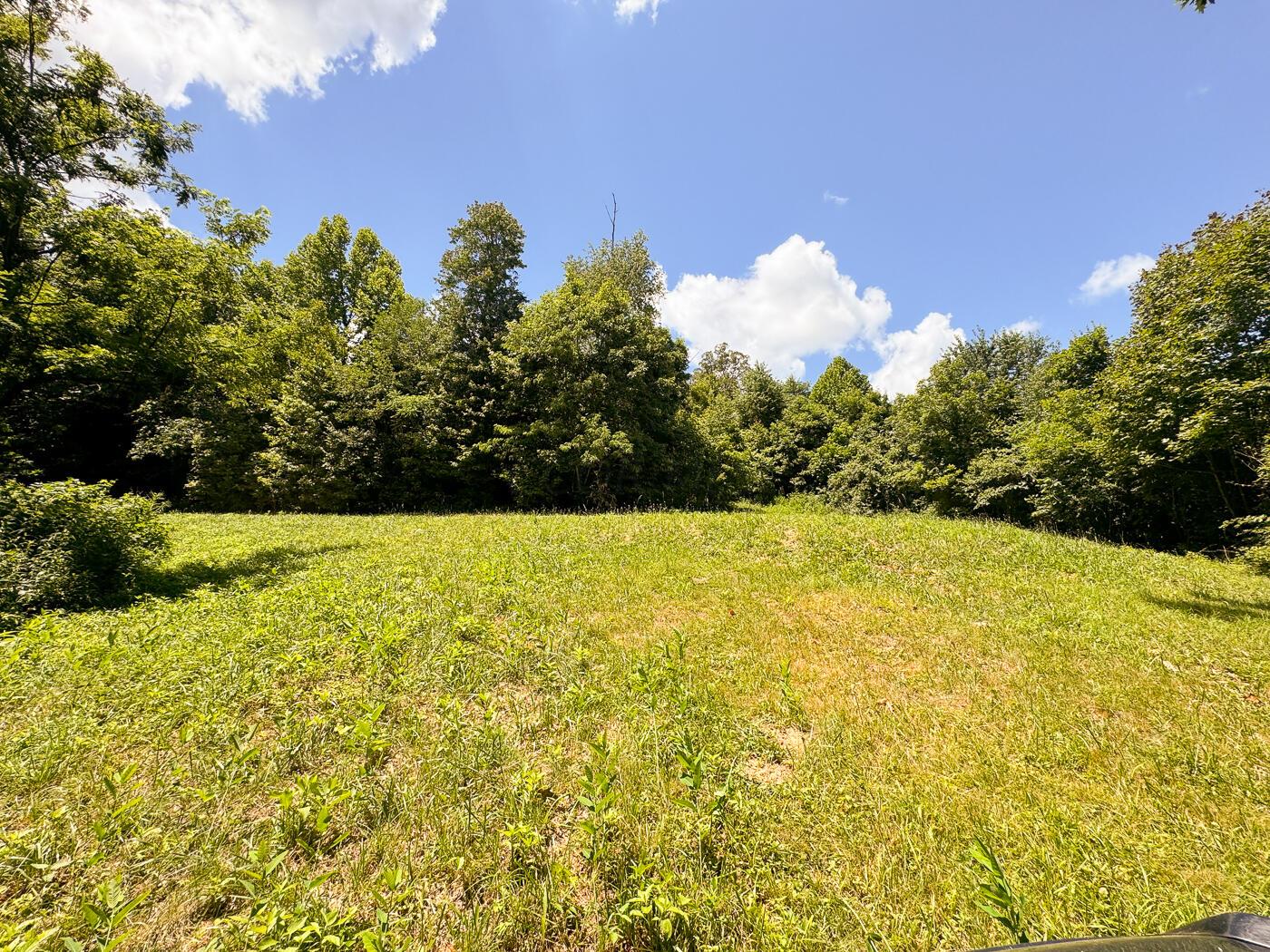 4313 Flint Ridge Road Northeast, Unit INT RIDGE TRACT 18 ACRE) Crooksville, OH 43731 - Photo 2 of 53 CT-1