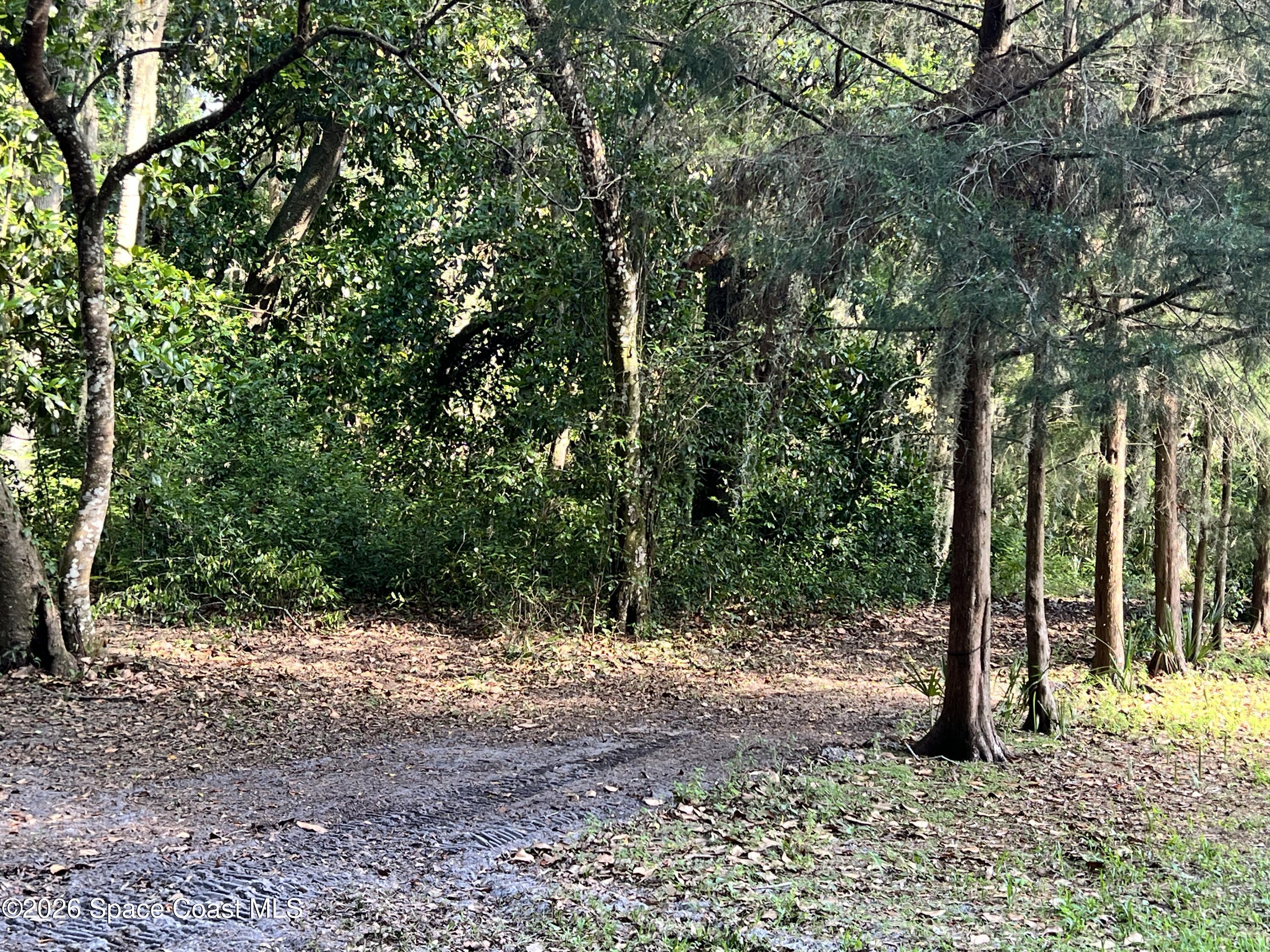 0 Carter Road Mims, FL 32754 - Photo 18 of 25 IMG_5444