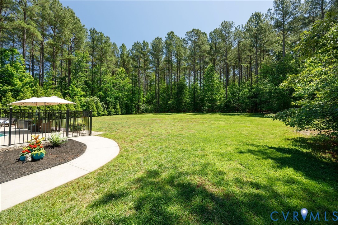 11451 Black Road Chesterfield, VA 23838 - Photo 50 of 55 Rear lawn
