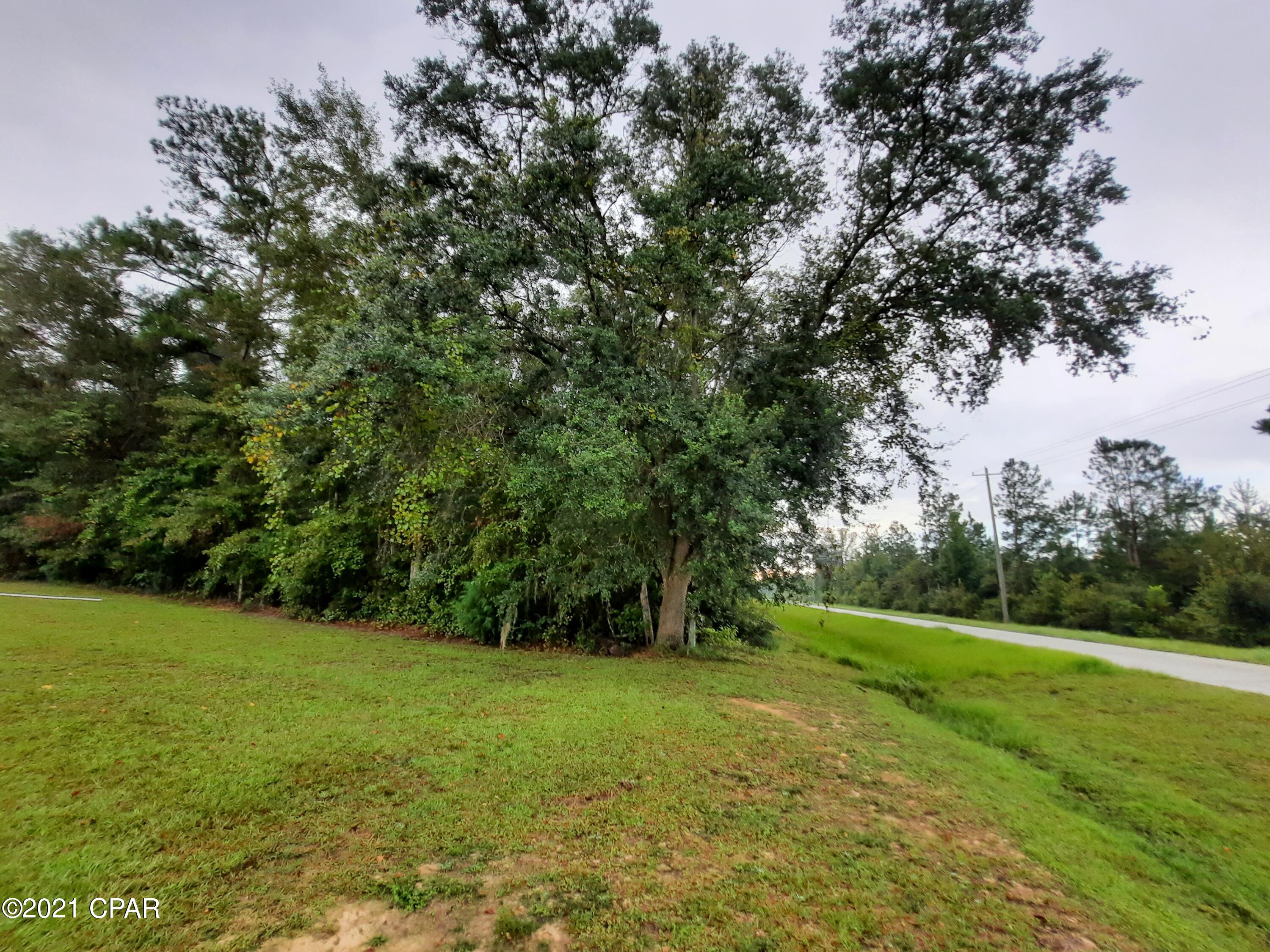 11024 Peddie Road Bristol, FL 32321 - Photo 52 of 56 Gallery Image 52
