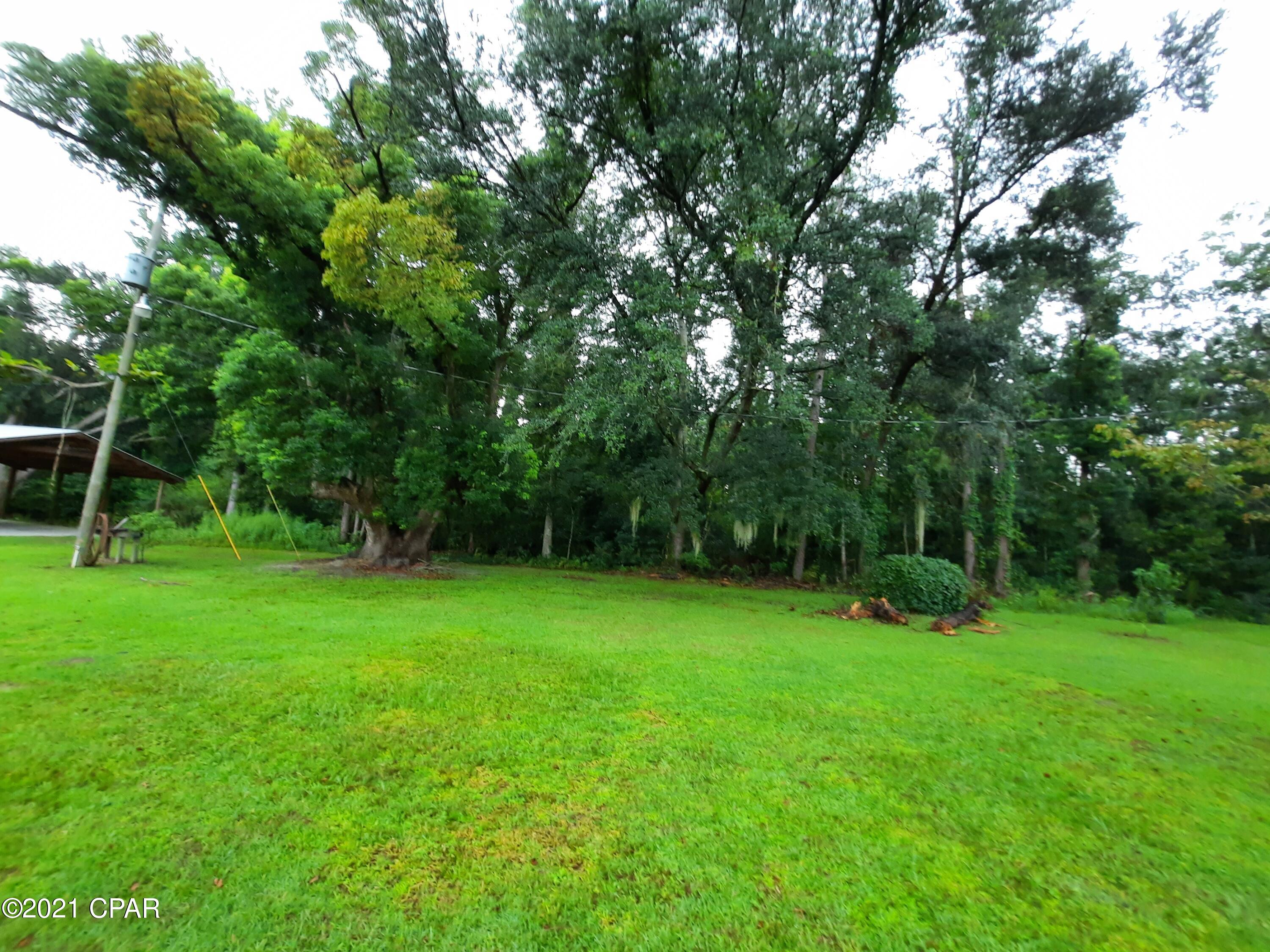 11024 Peddie Road Bristol, FL 32321 - Photo 54 of 56 Gallery Image 54
