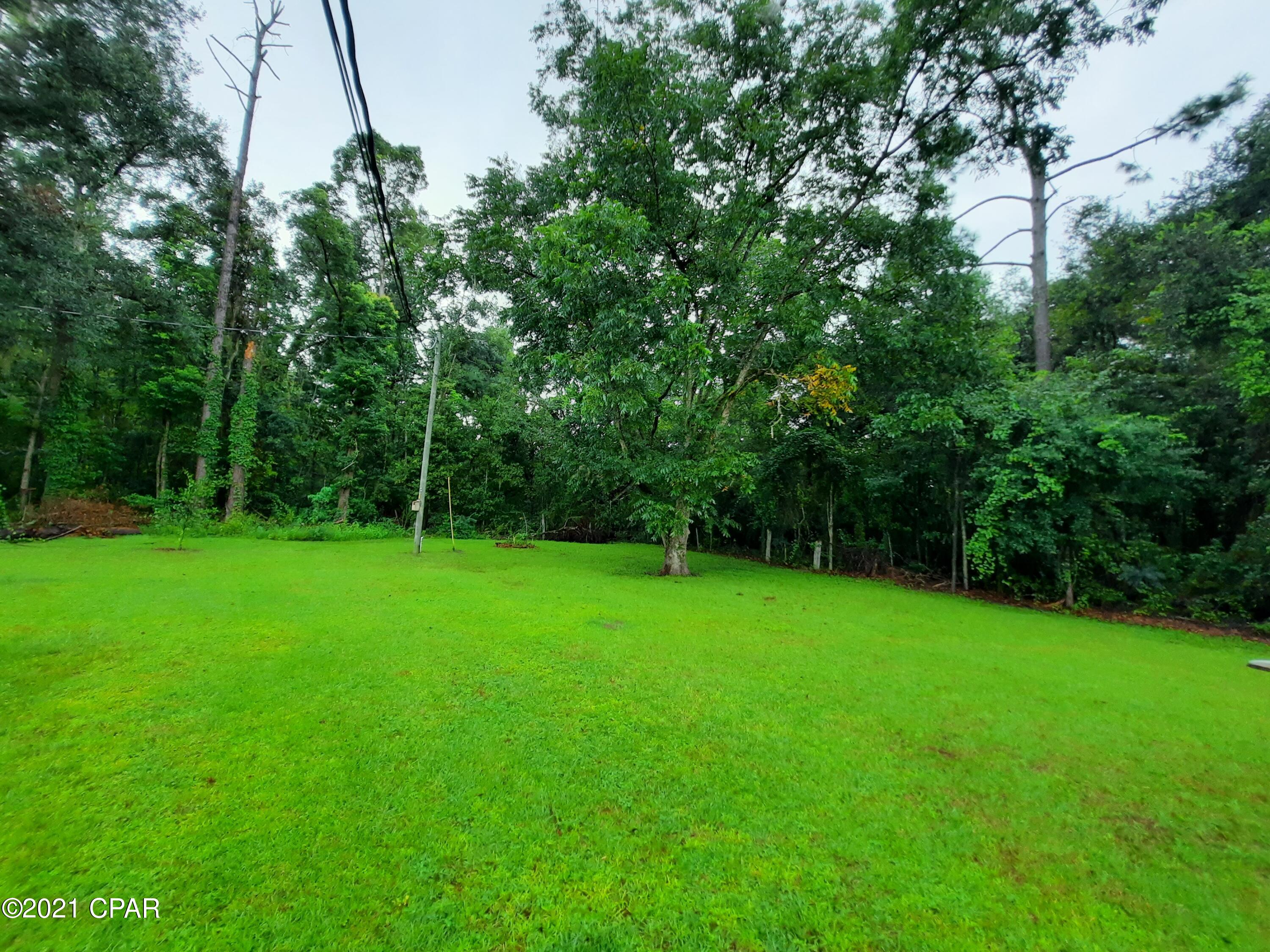 11024 Peddie Road Bristol, FL 32321 - Photo 55 of 56 Gallery Image 55