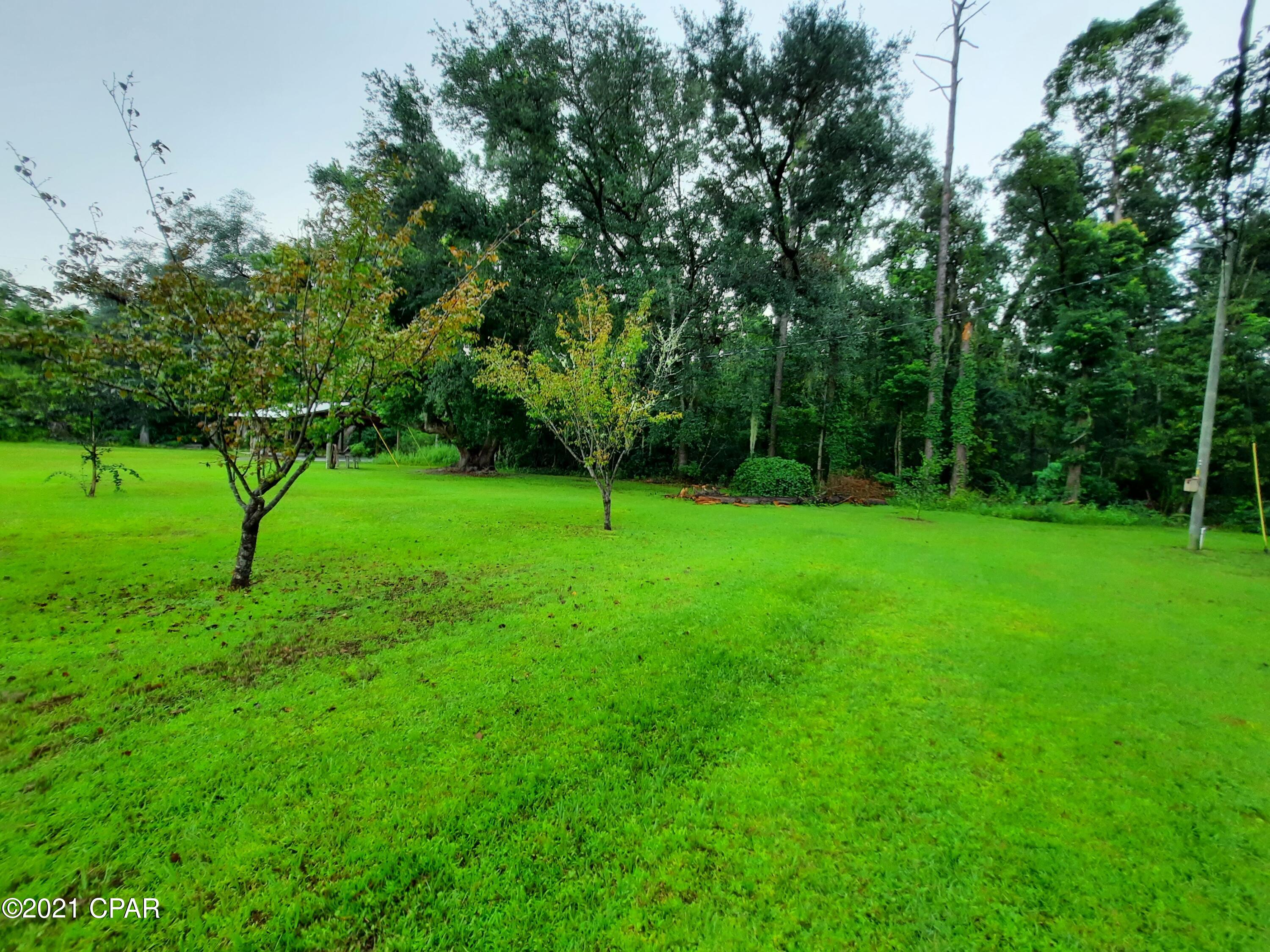 11024 Peddie Road Bristol, FL 32321 - Photo 56 of 56 Gallery Image 56
