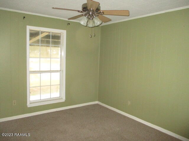 12417 Back Road Jeanerette, LA 70544 - Photo 7 of 10 IMG_2955