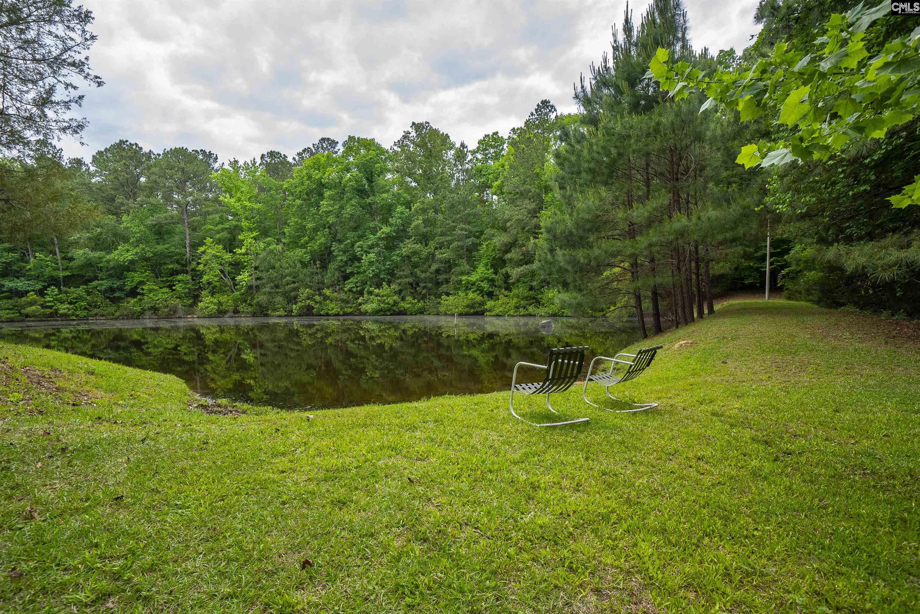 150 Four Foxes Lane Chapin, SC 29036 - Photo 67 of 82