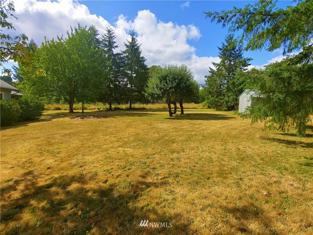 115 Roe Road Winlock, WA 98596 - Photo 4 of 19