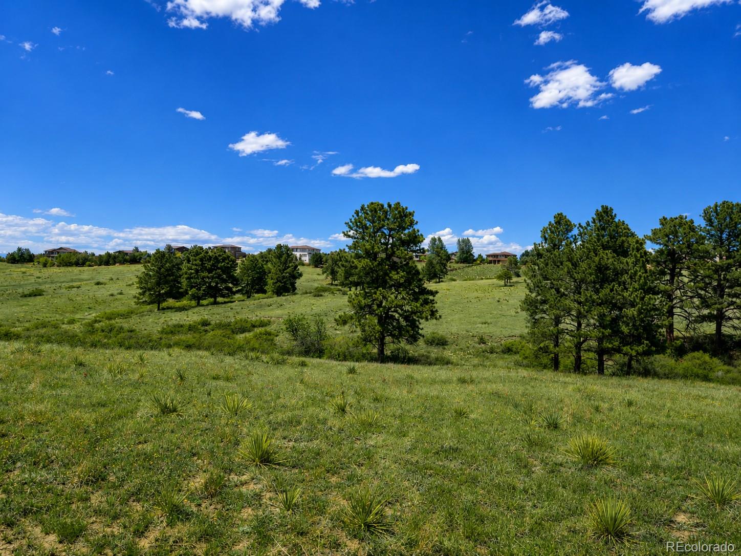 Forest Rim Road Aurora, CO 80016 - Photo 6 of 10