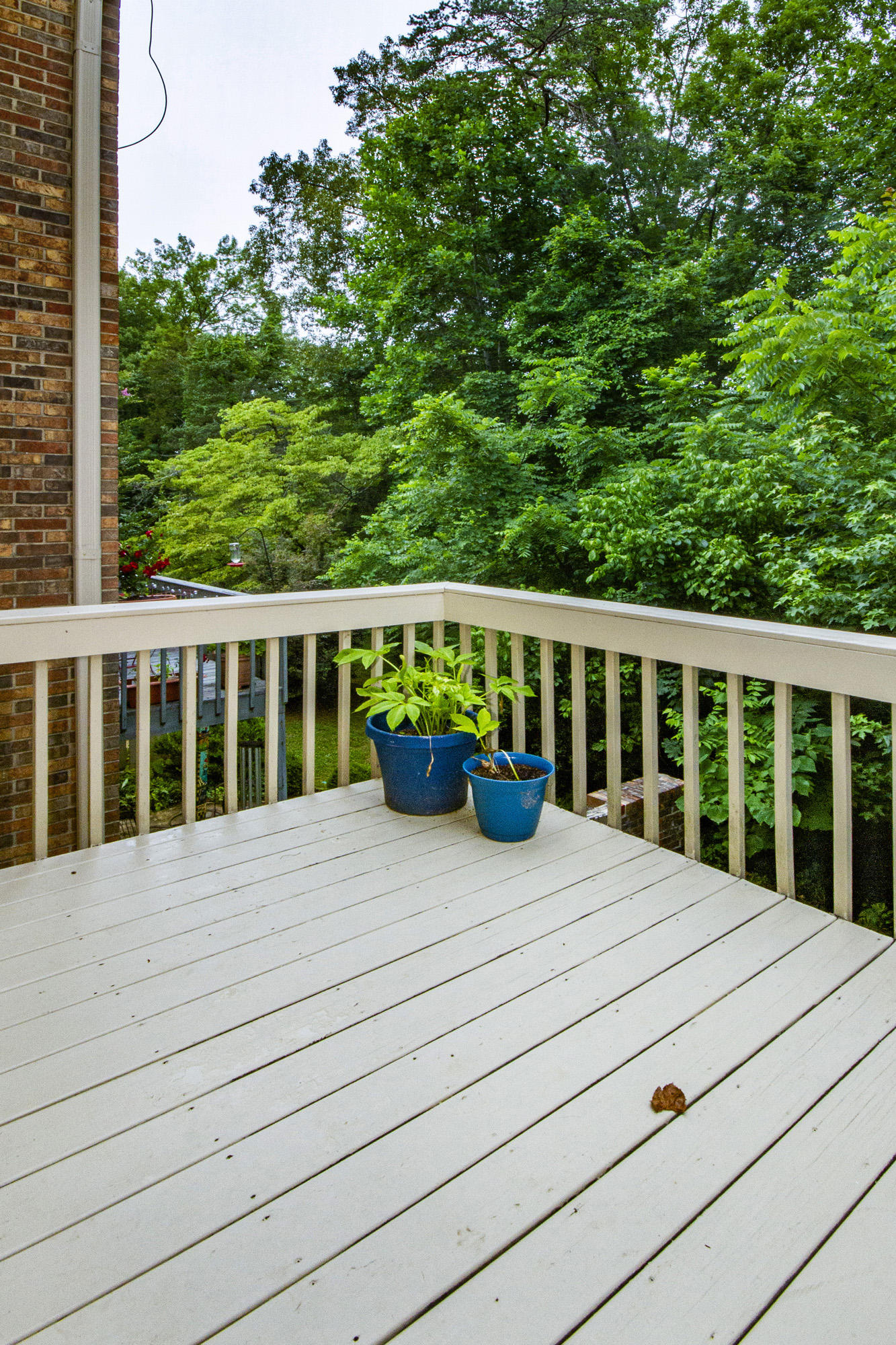 22 Brookside Drive Oak Ridge, TN 37830 - Photo 31 of 35 IMG_0013