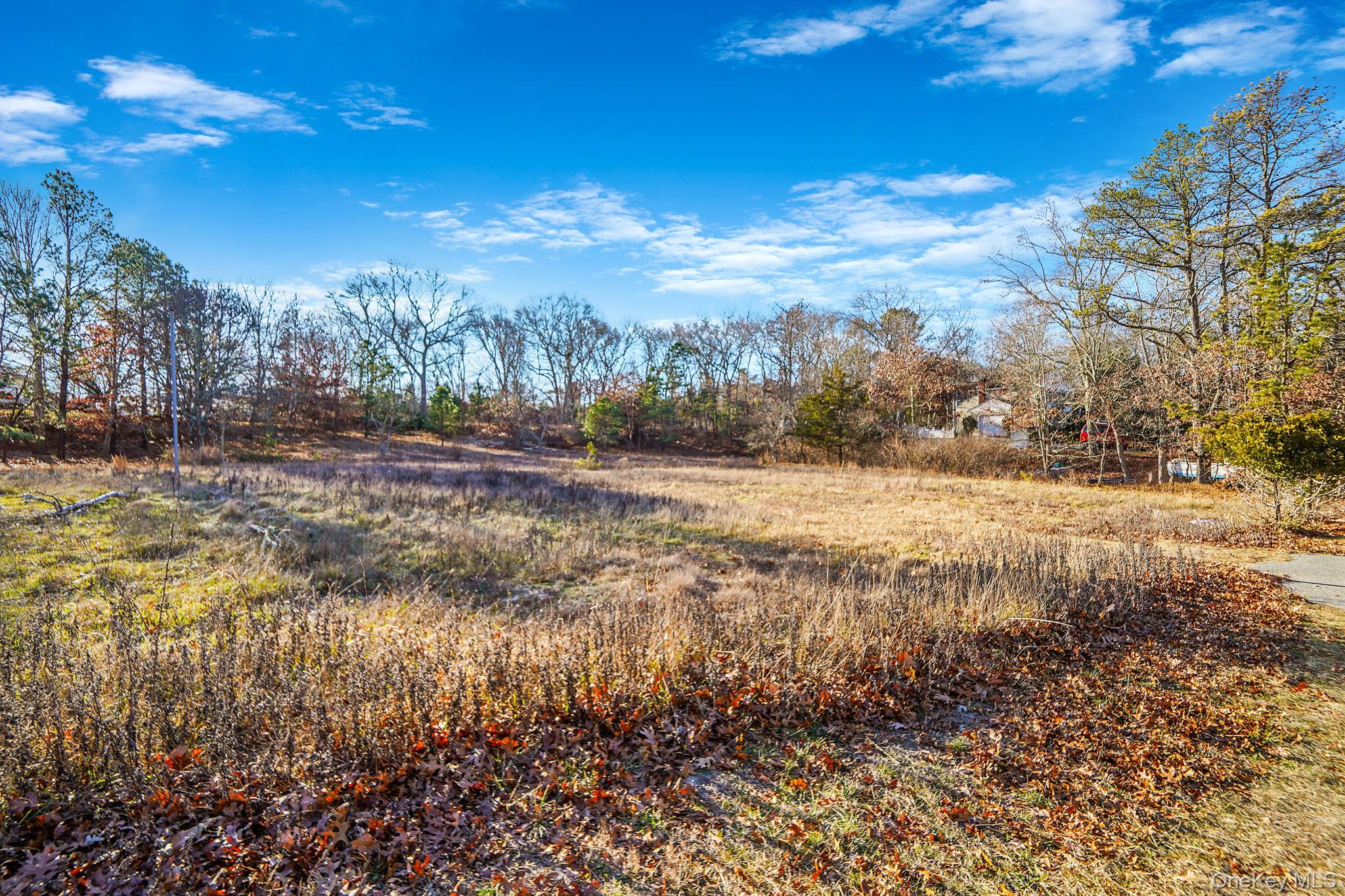 267 Old Country Road Eastport, NY 11941 - Photo 1 of 16 a view of a yard with mountains